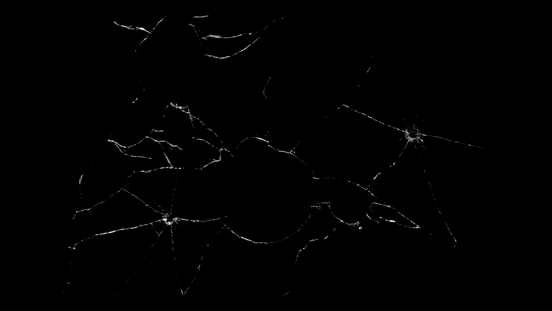 17. İstanbul Bienali görsel 2