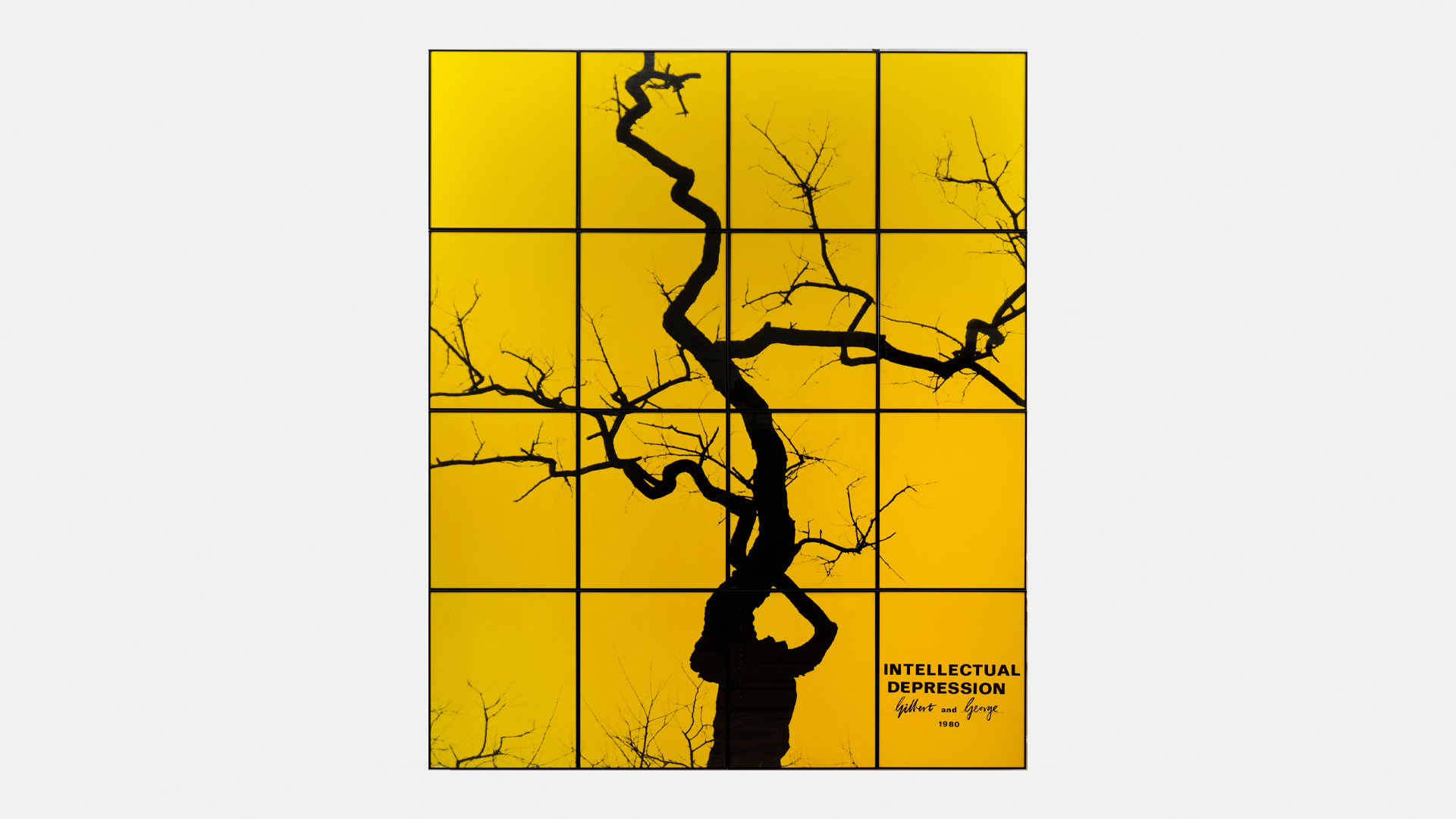 Ortak Duygular görsel 2