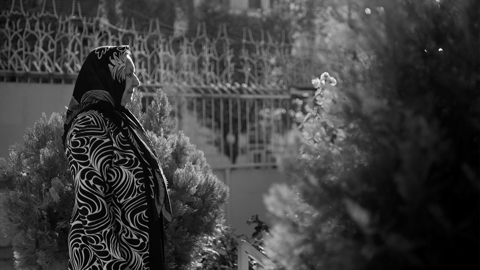 Asit Bulutlarının Üzerinde görsel 2