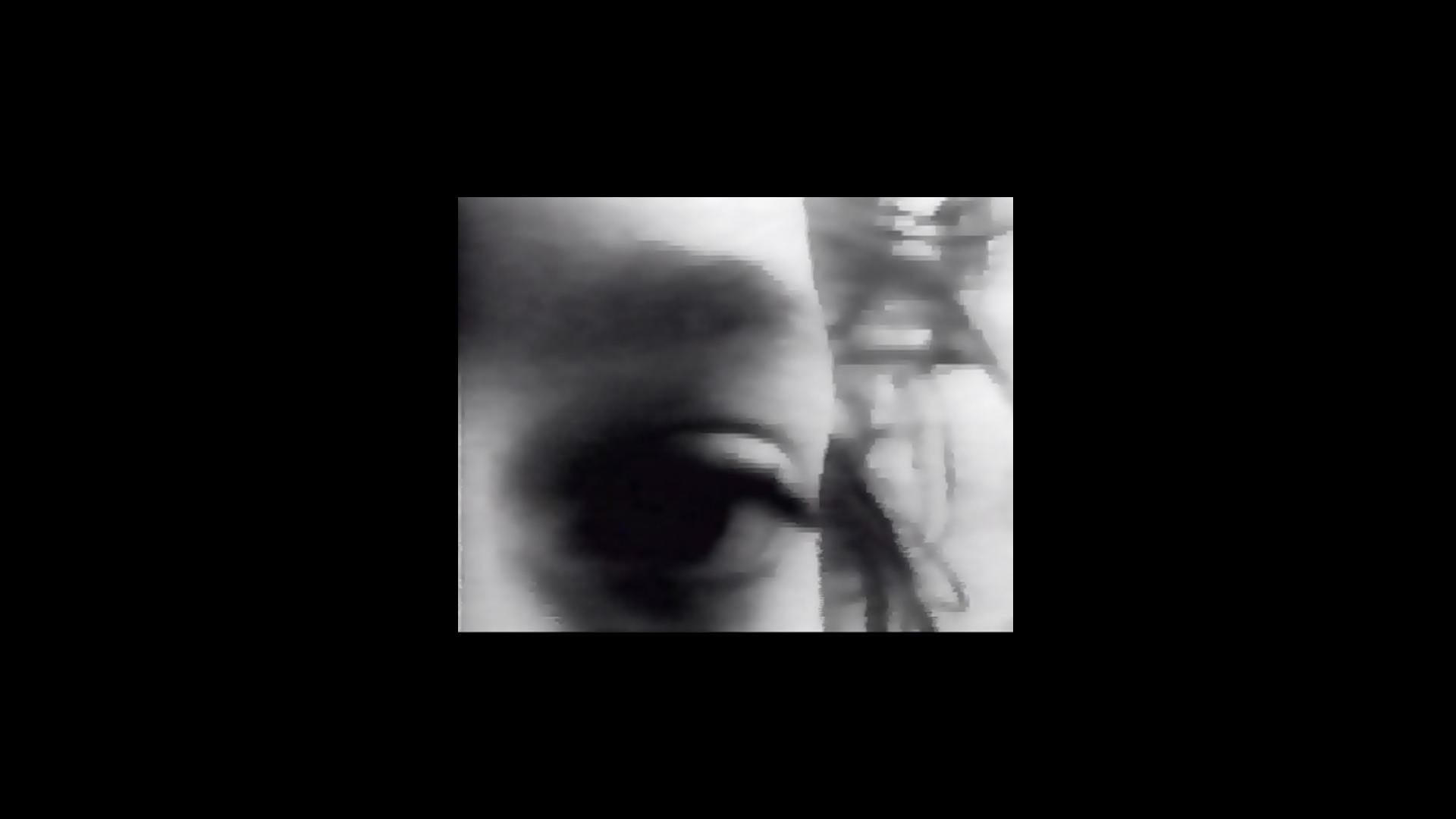 İçerde Yaşam görsel 0