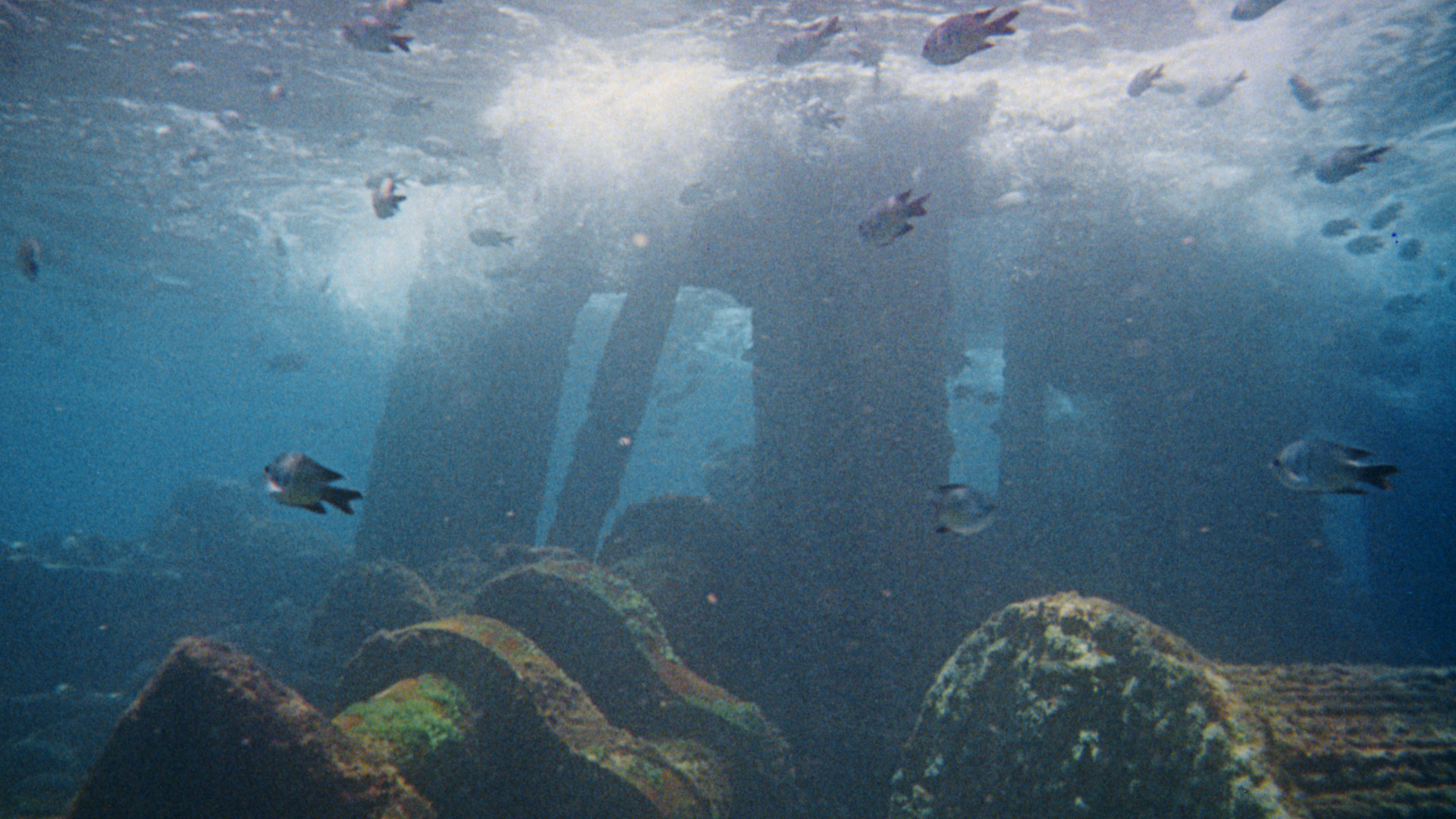 Sanatçıların Sineması17