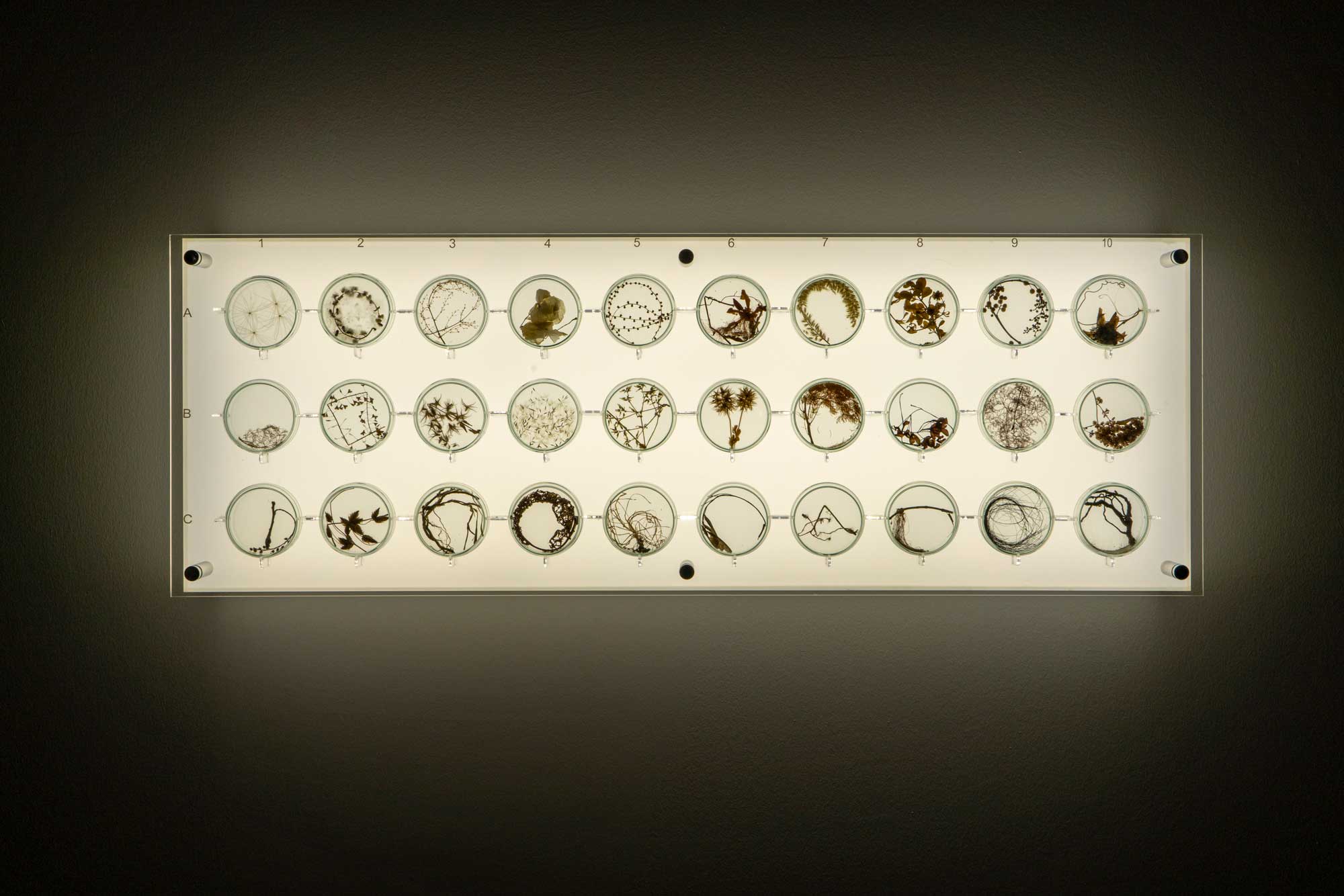 Yüzleşme galeri 10