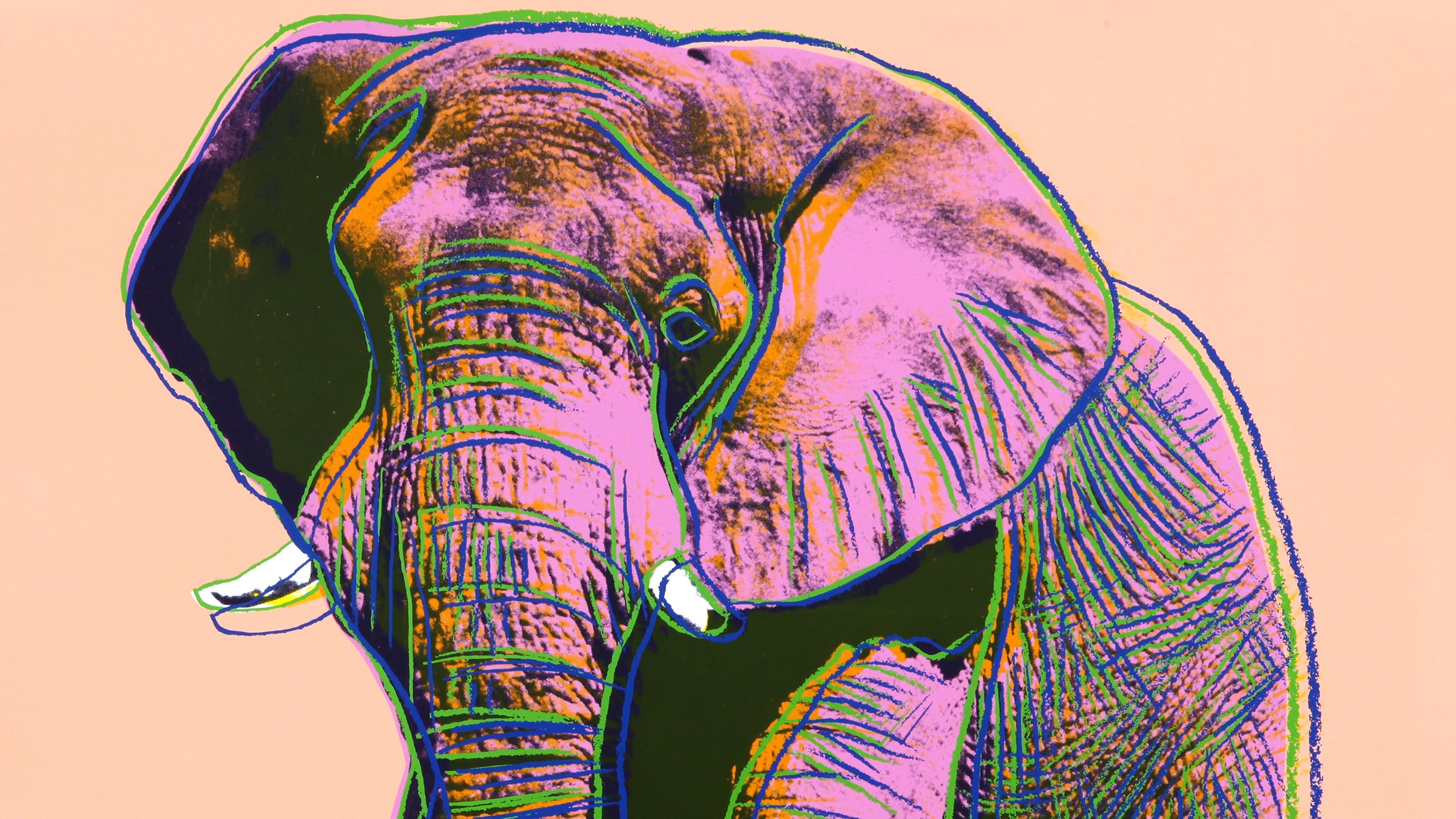 Andy Warhol görsel 0