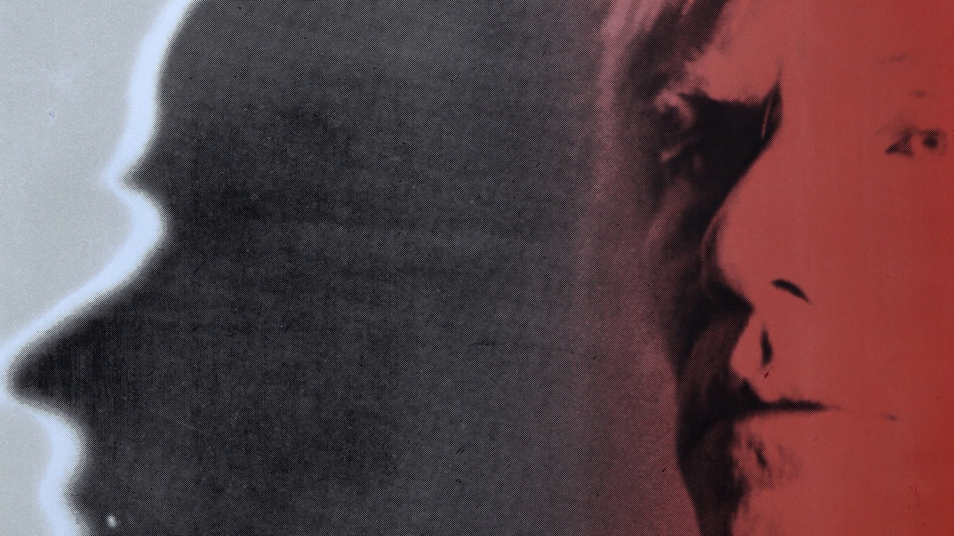 Andy Warhol görsel 1