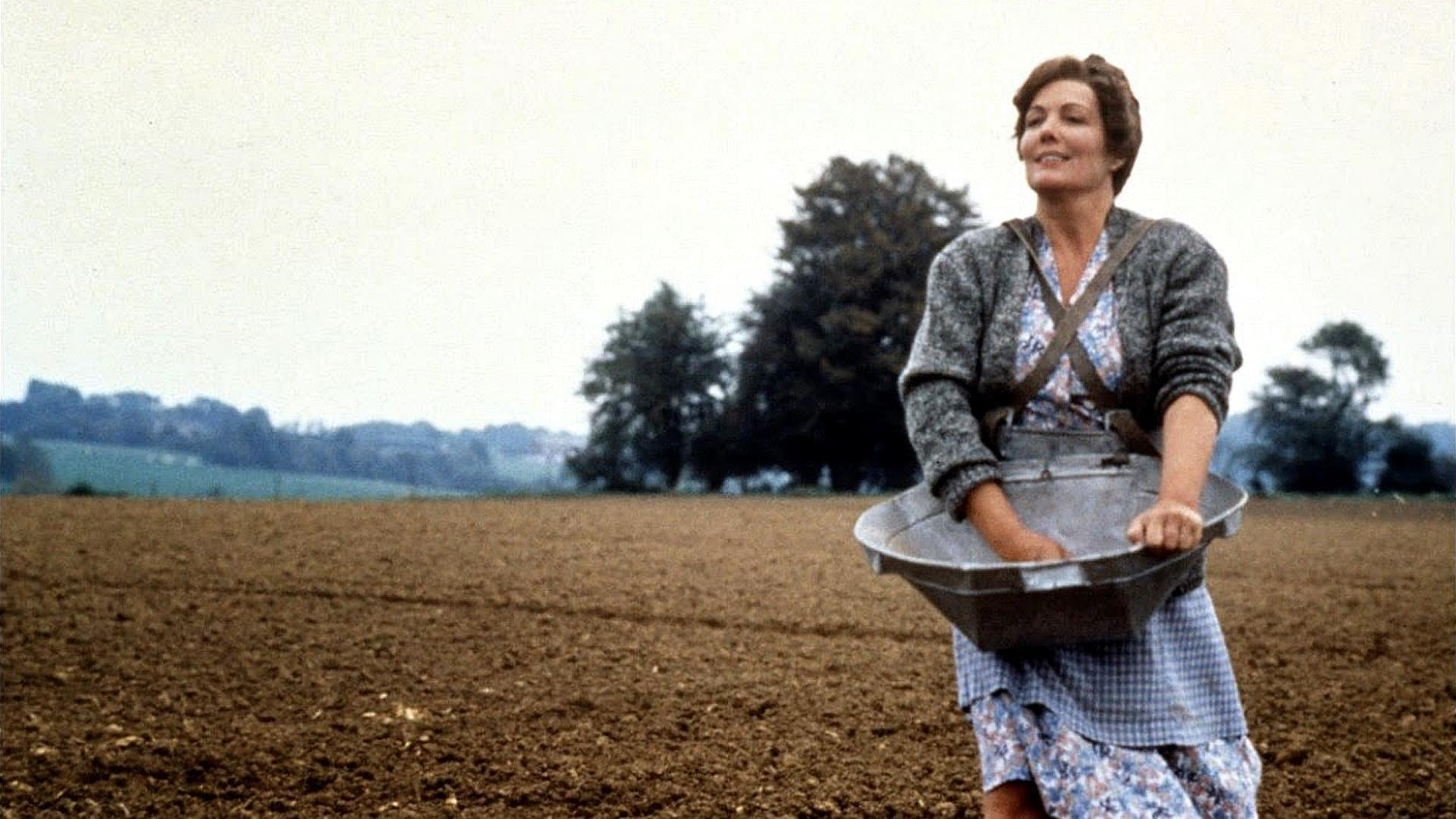 Antonia’nın Yazgısı görsel 5