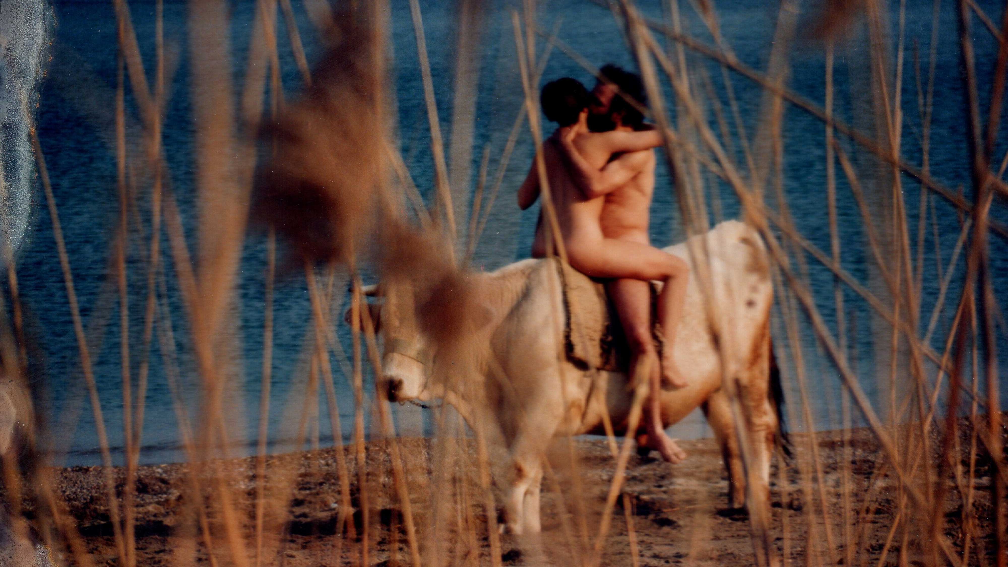 Bizans’a Yelken Açmak4