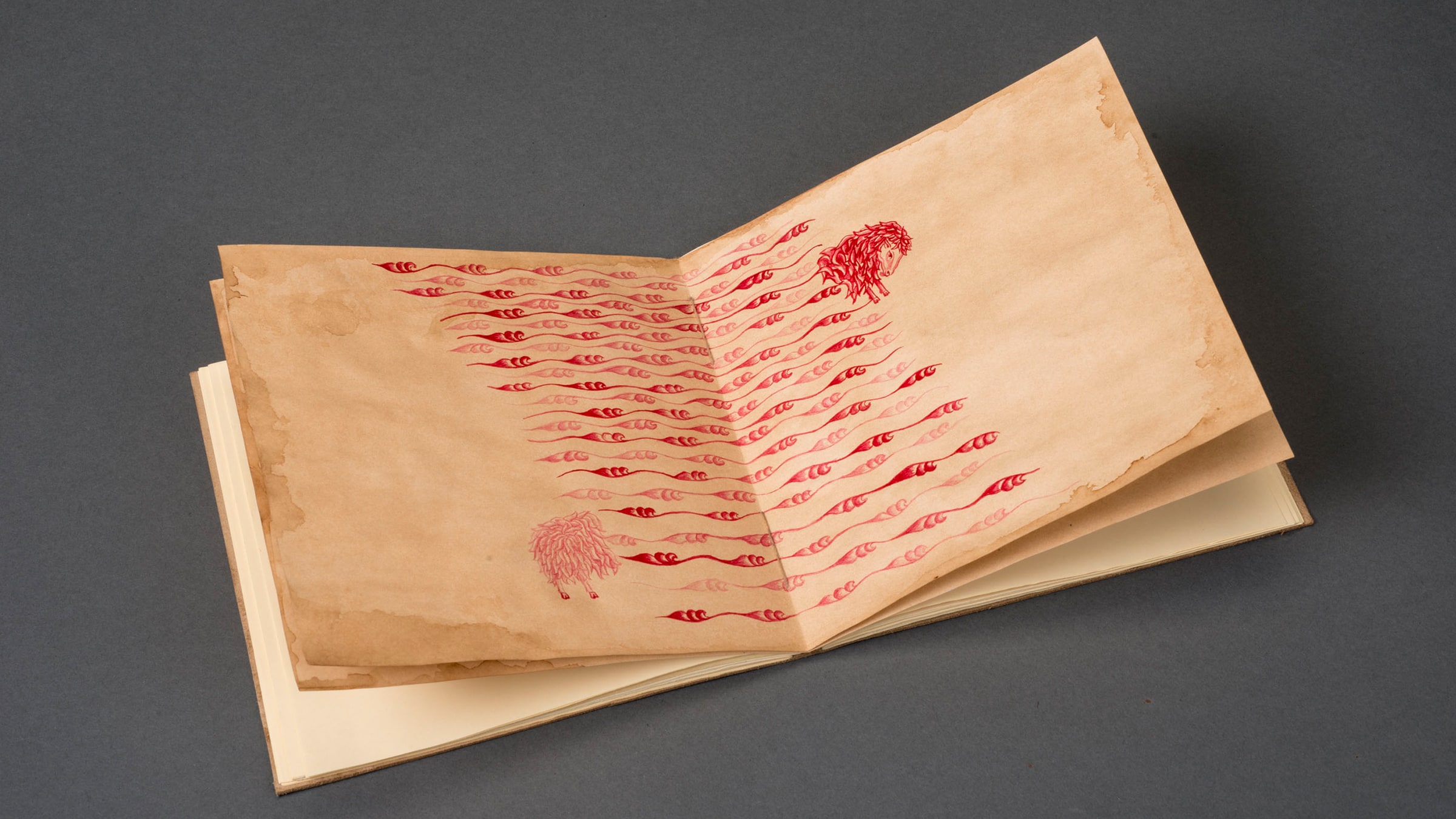 Çiftdüşün <br>Çiftgörü görsel 2