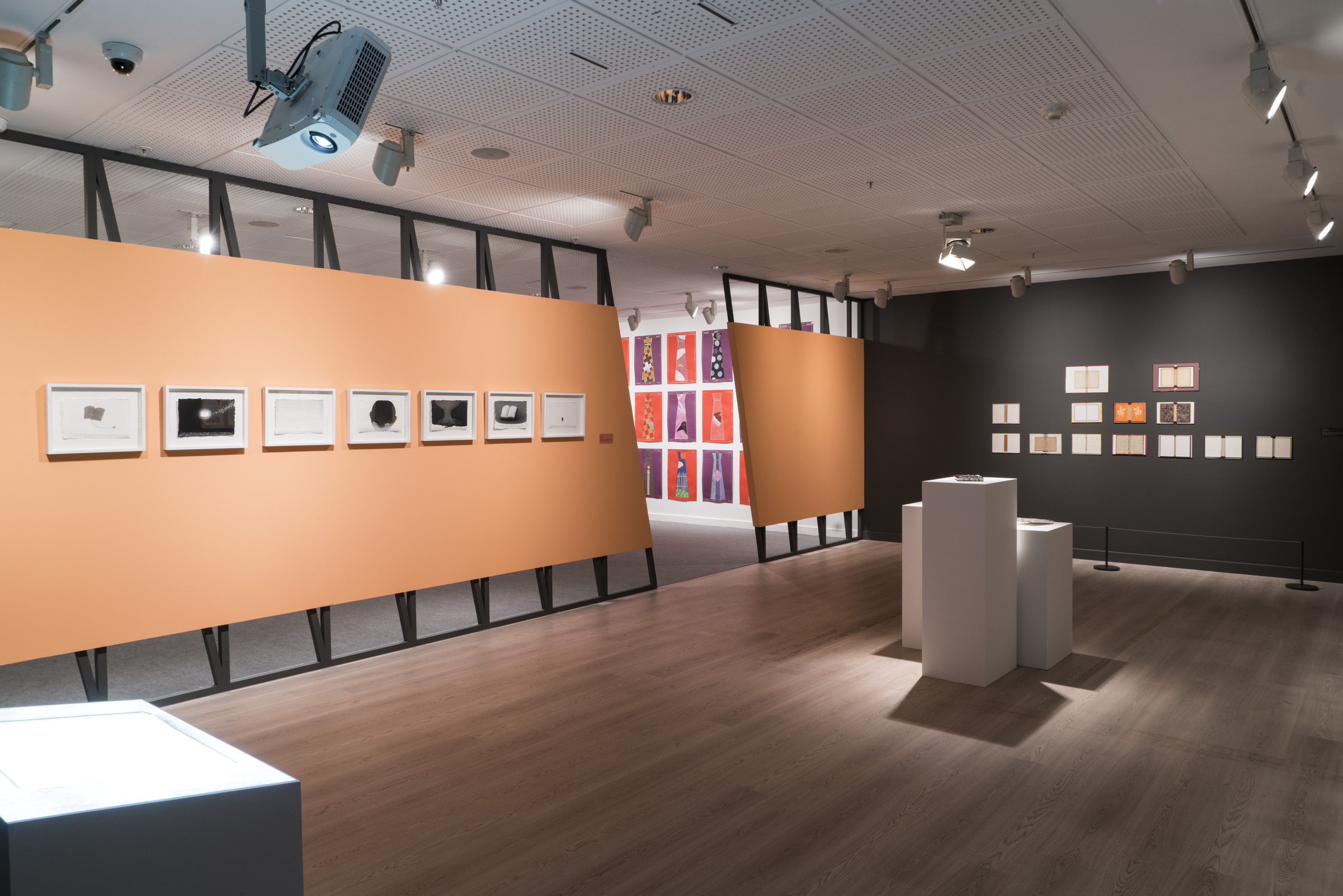 Çiftdüşün <br>Çiftgörü galeri 9