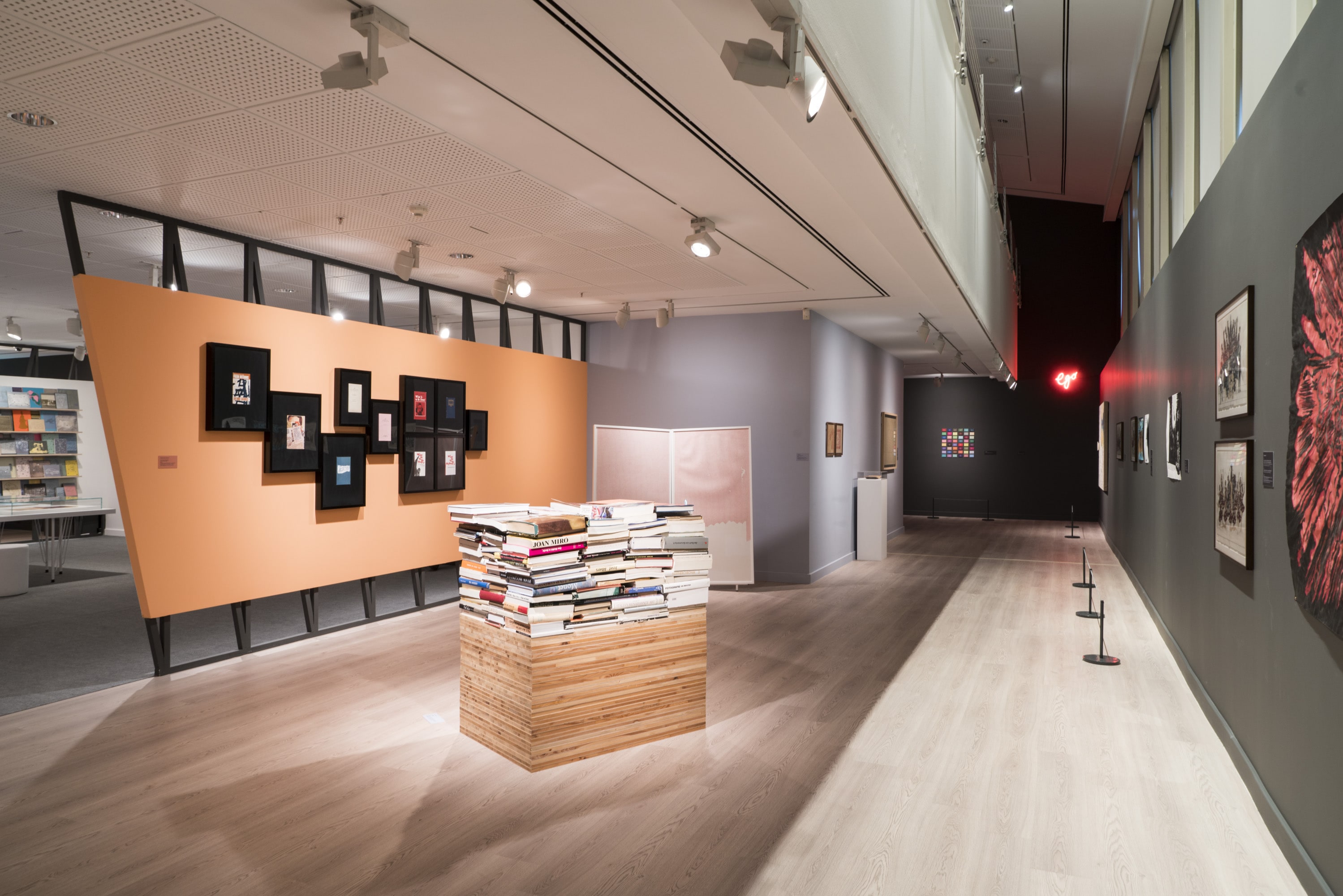 Çiftdüşün <br>Çiftgörü galeri 11