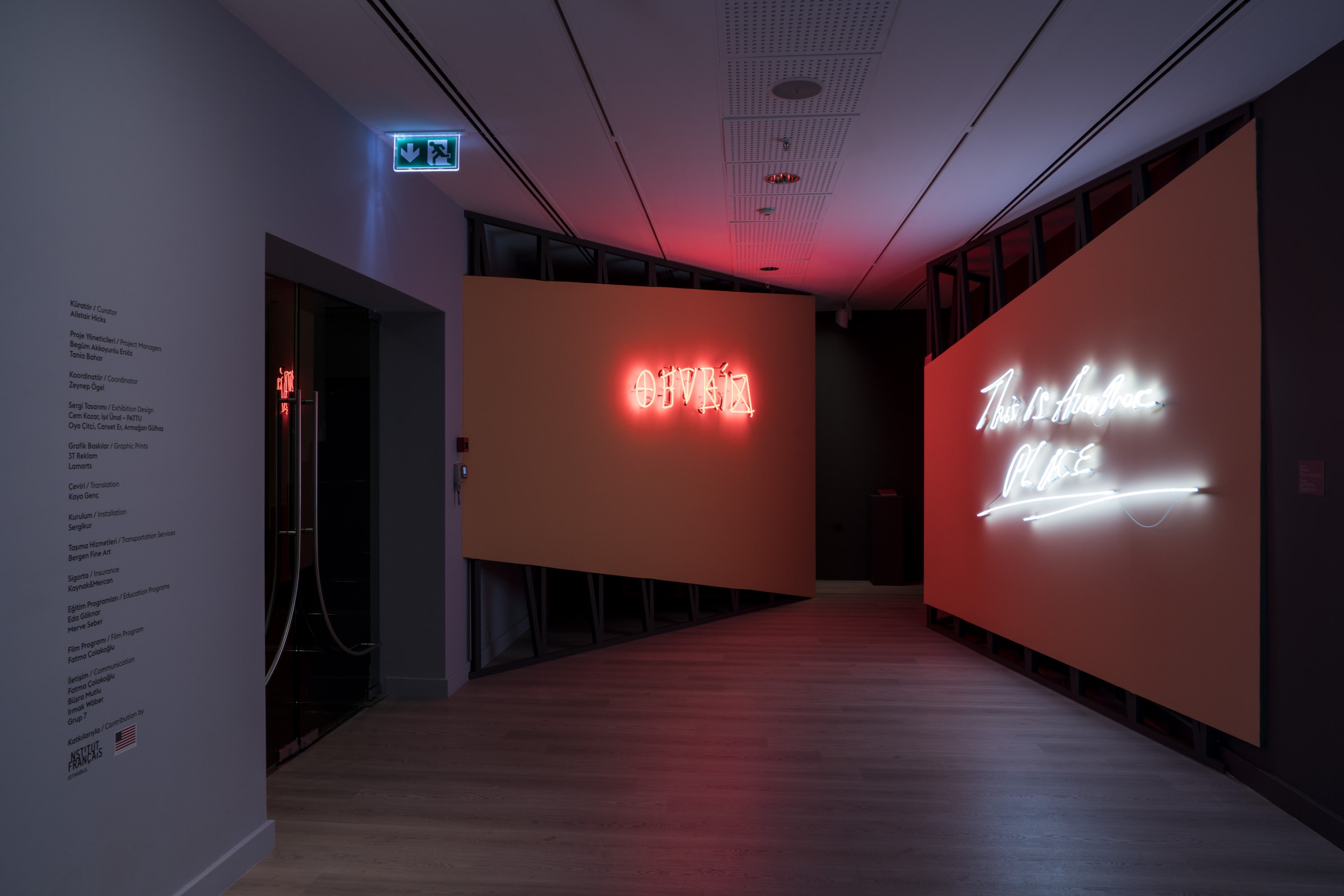 Çiftdüşün <br>Çiftgörü galeri 13