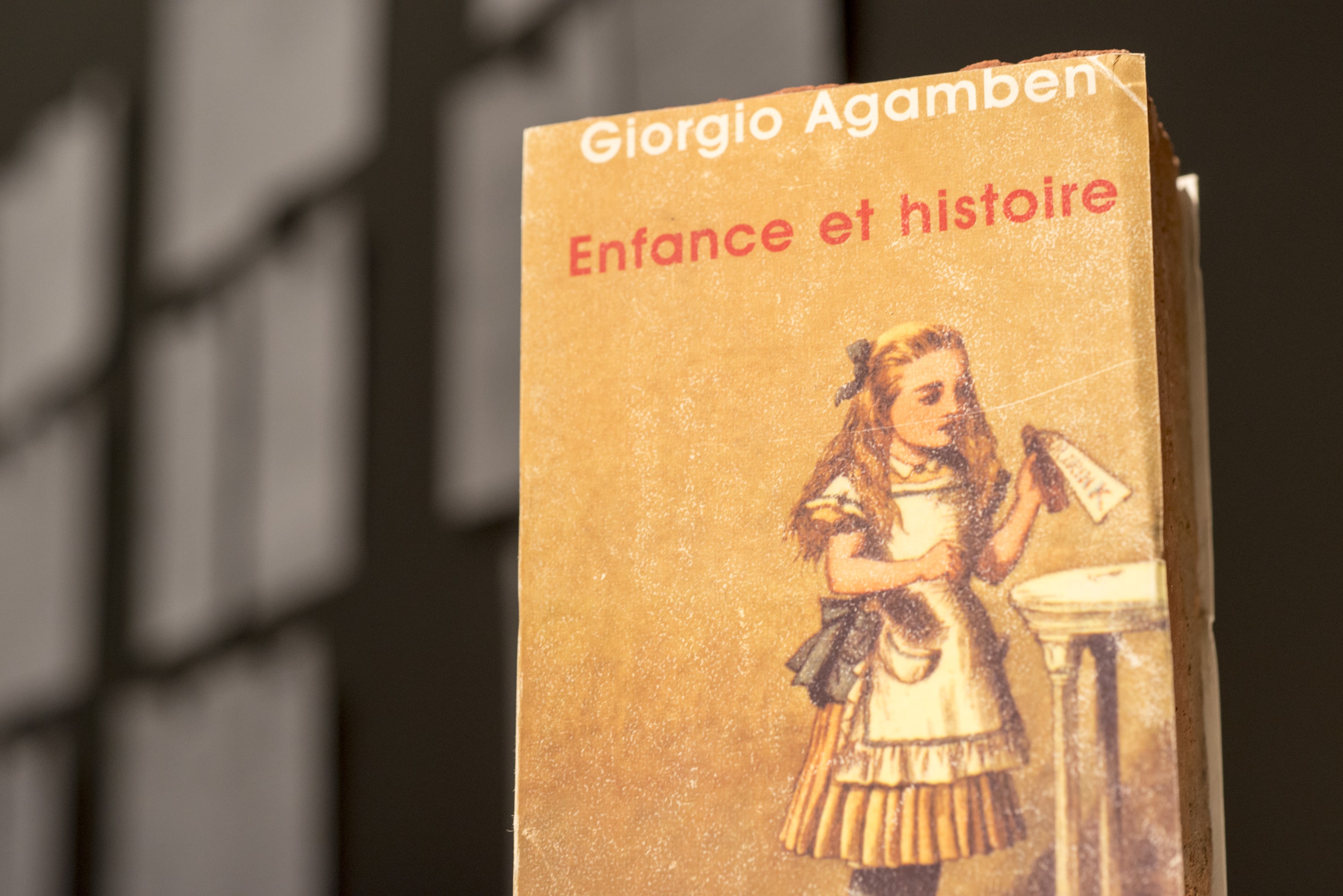 Çiftdüşün <br>Çiftgörü galeri 15