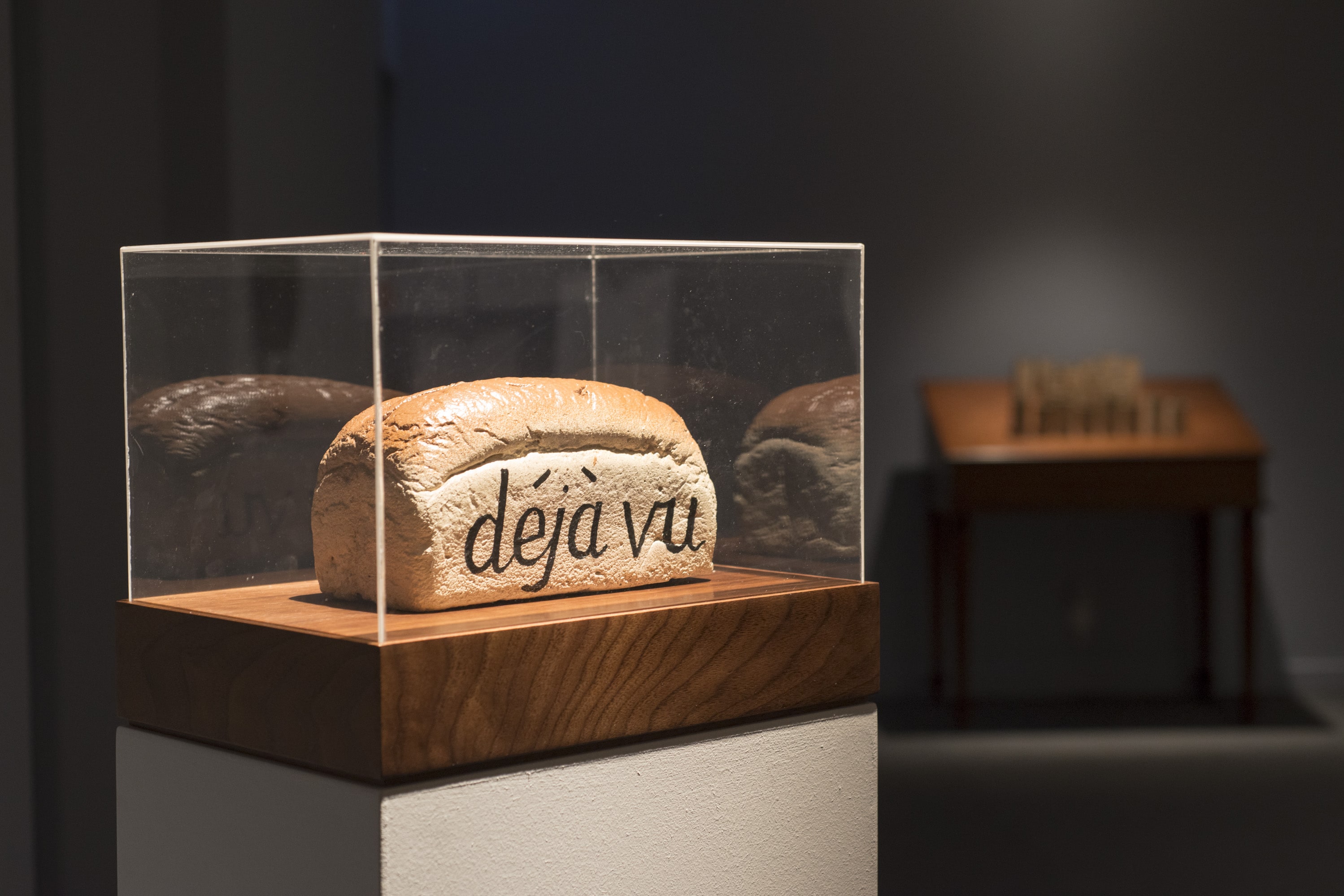 Çiftdüşün <br>Çiftgörü galeri 16