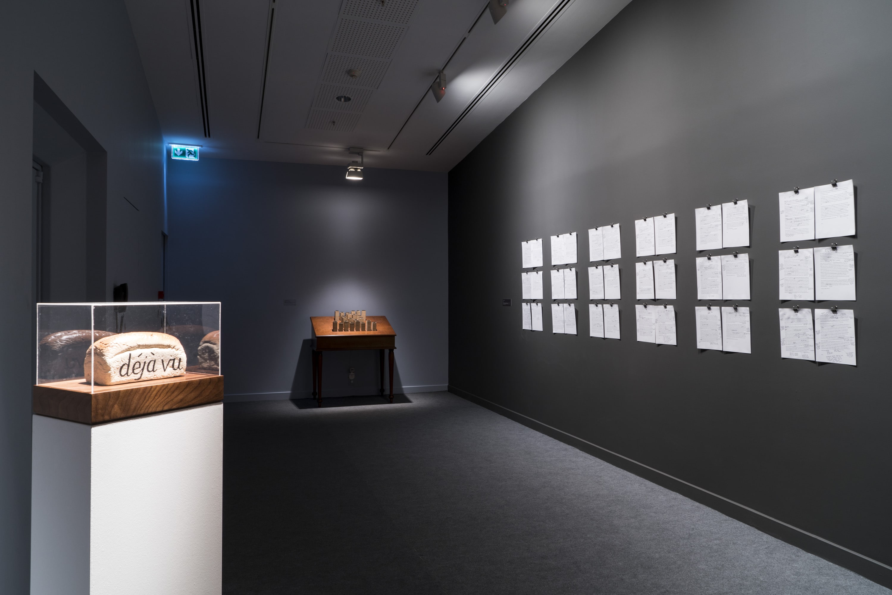 Çiftdüşün <br>Çiftgörü galeri 6