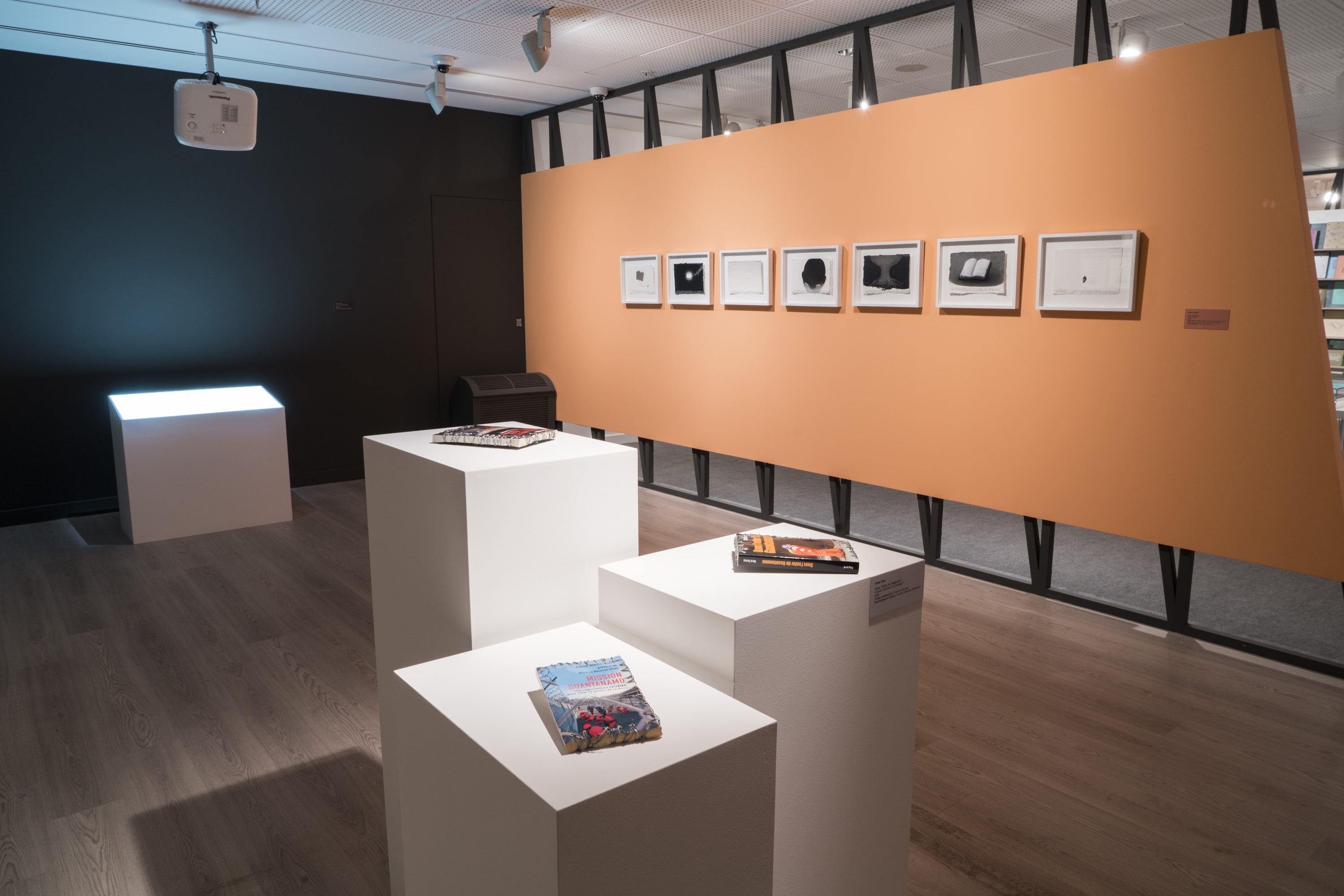 Çiftdüşün <br>Çiftgörü galeri 8