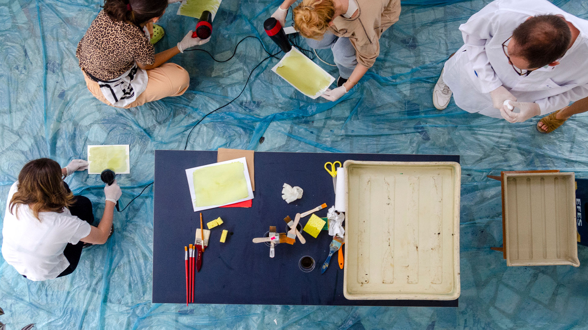 Cyanotype Baskı  görsel 1