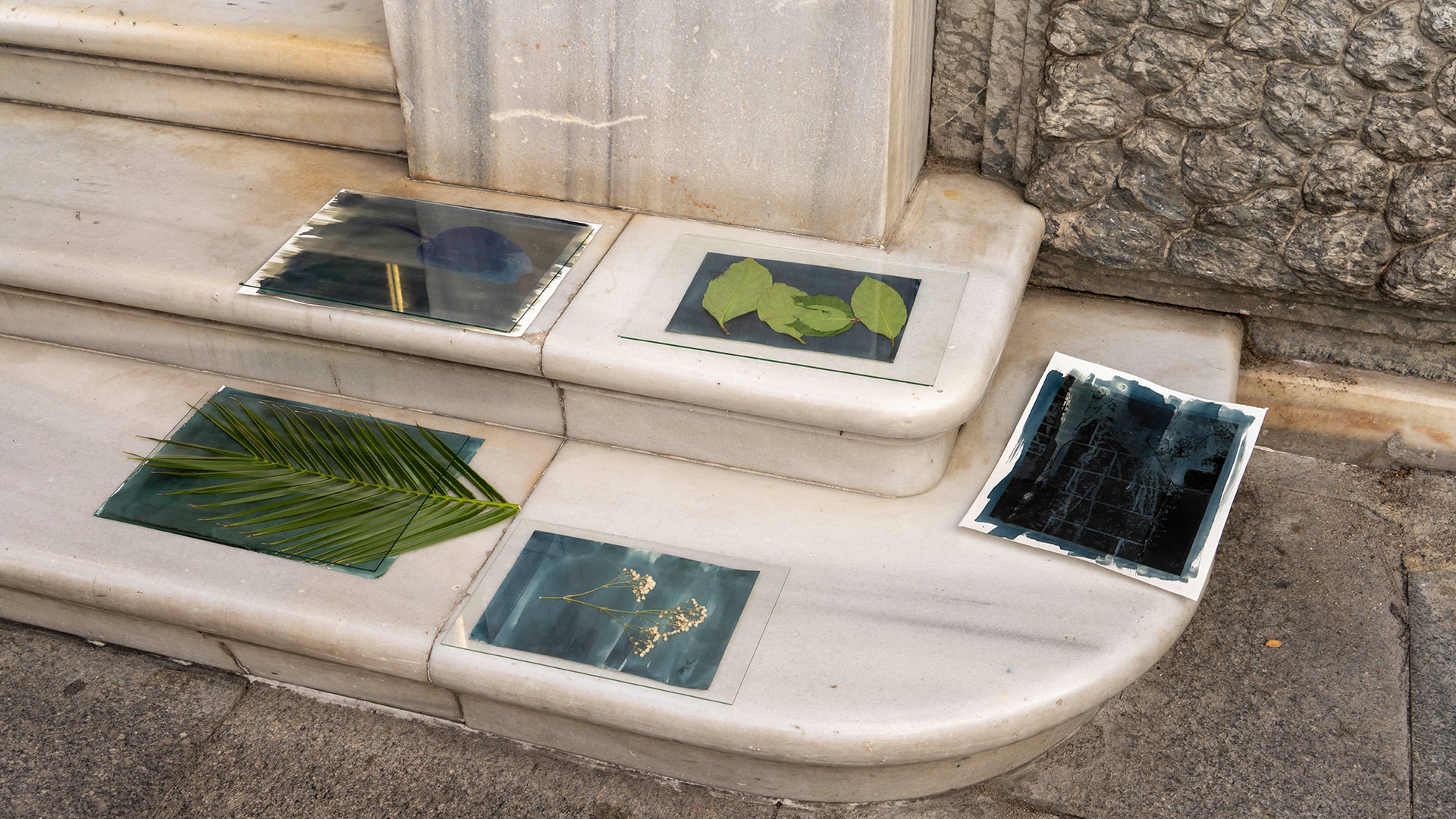 Cyanotype Baskı görsel 2