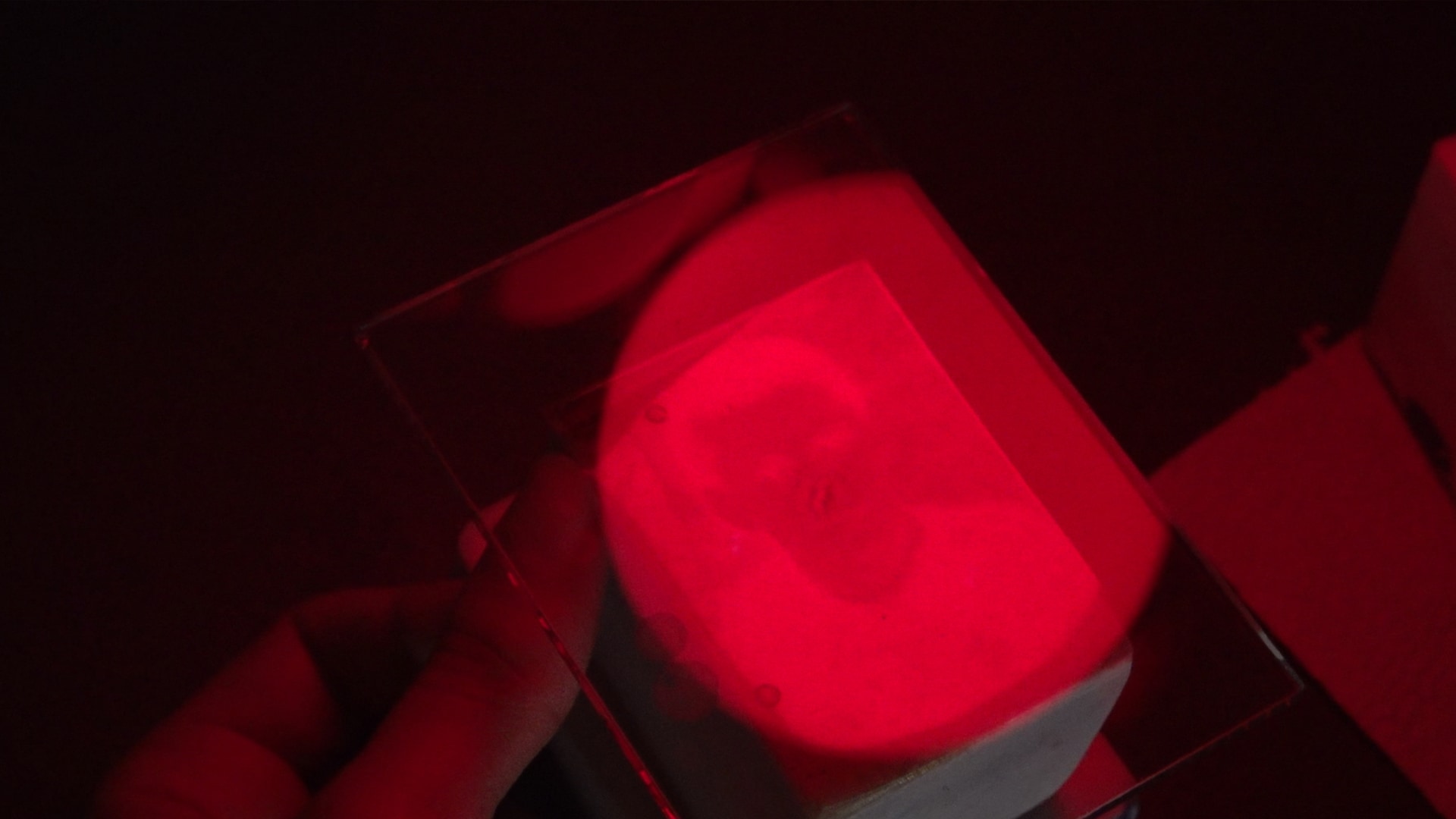 DOCUMENTARIST 17. İstanbul Belgesel Günleri3