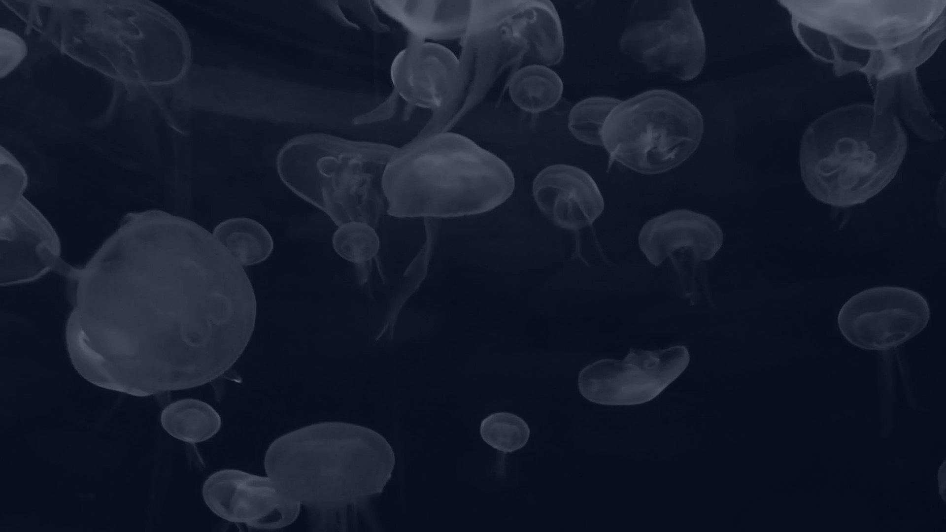 Panorama: Colombian Highlights görsel 0