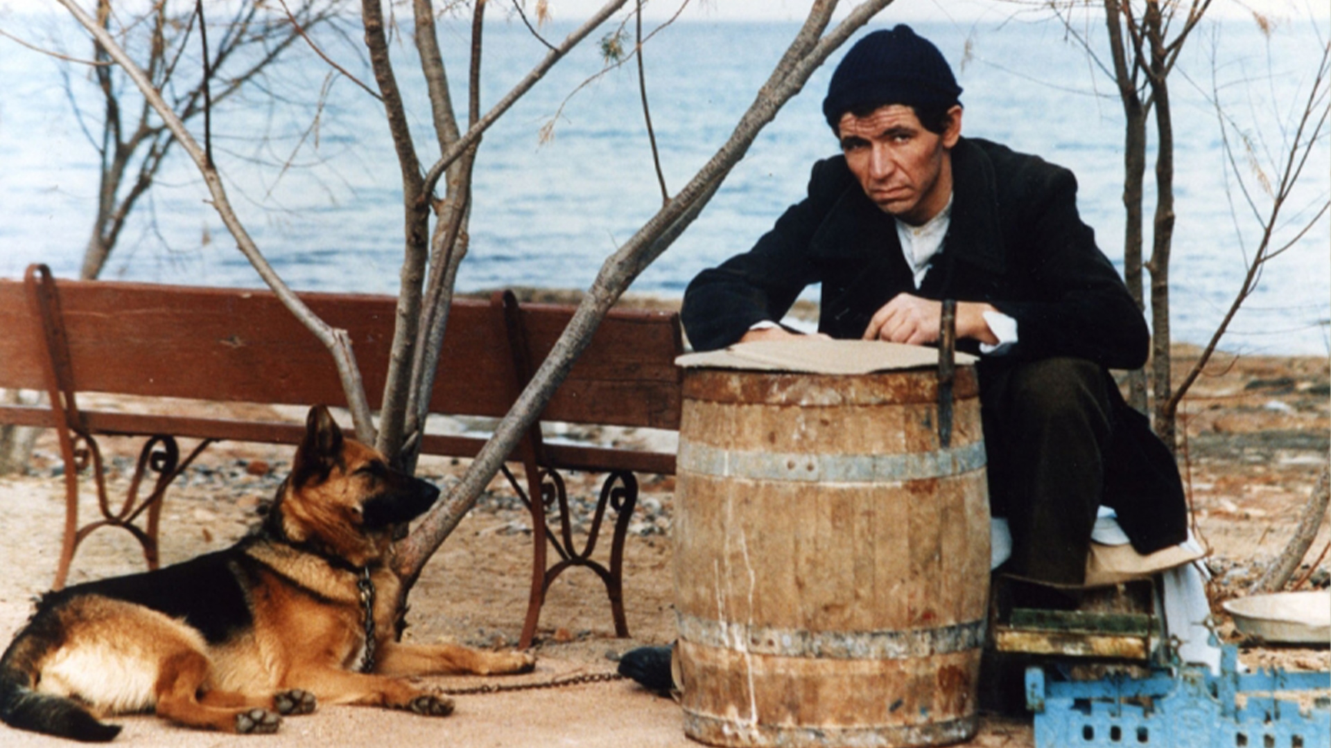 Yunanistan Sineması Günleri5