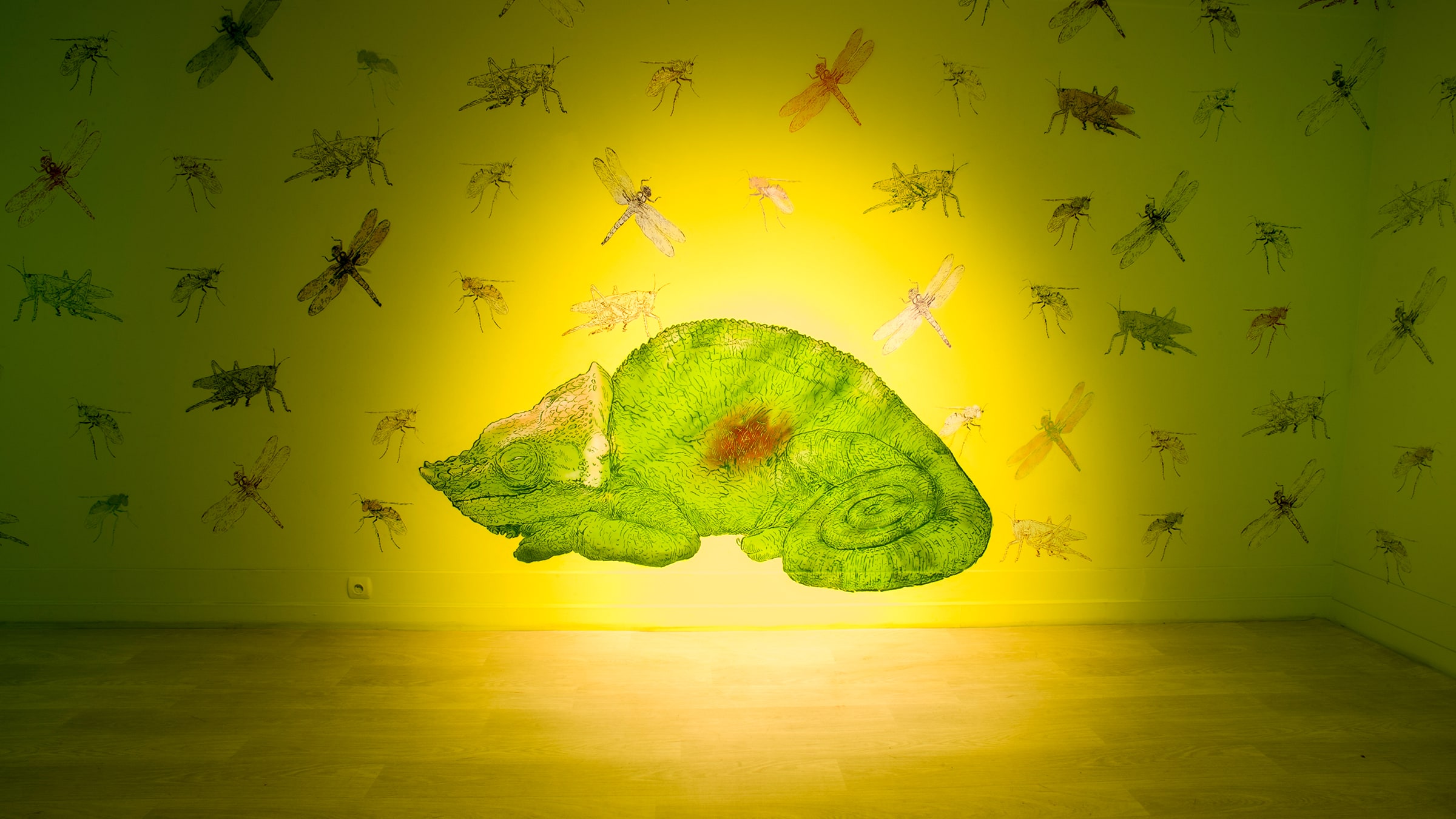 Duvarların Dili görsel 2