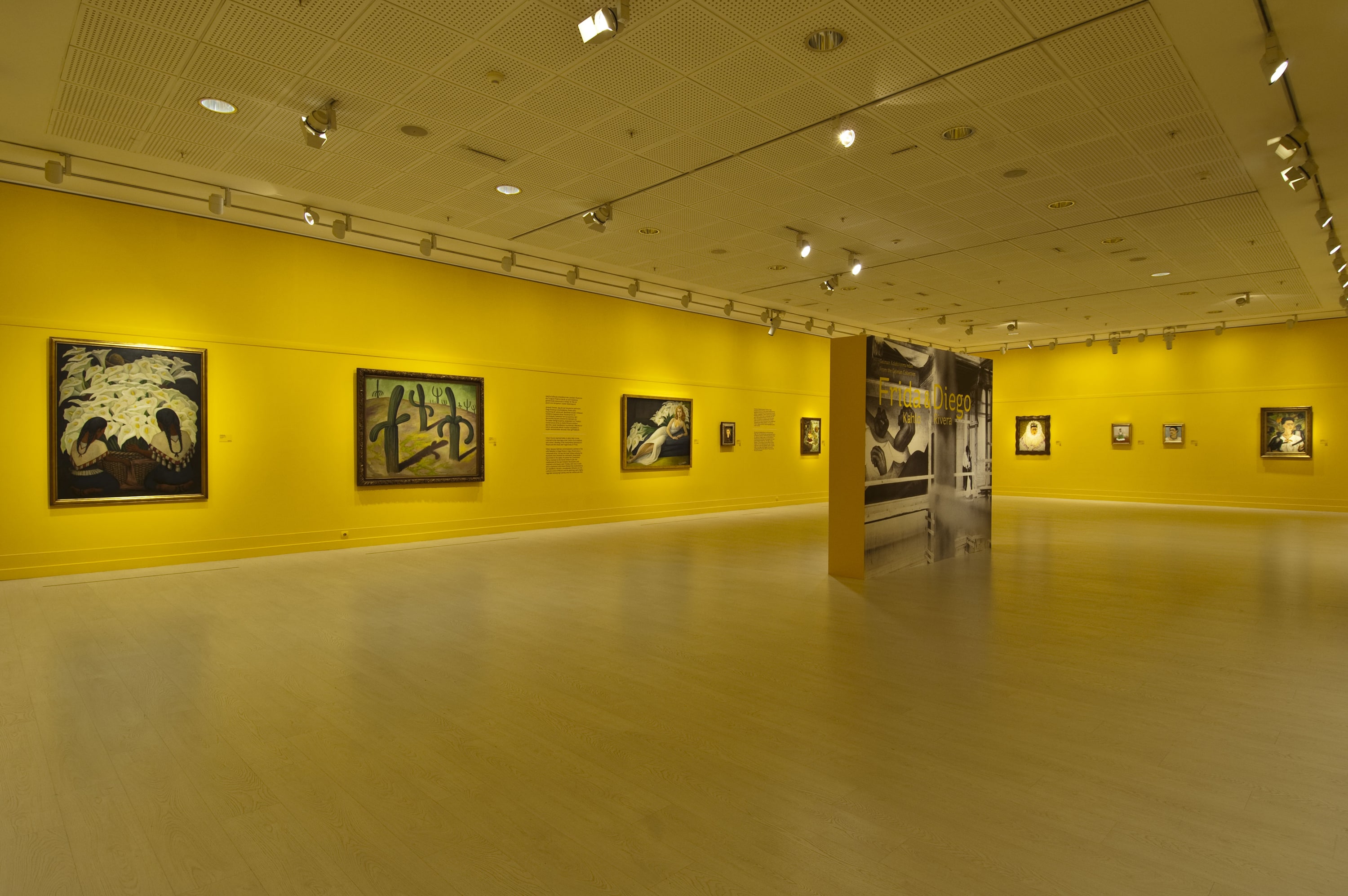 Frida Kahlo ve Diego Rivera galeri 9