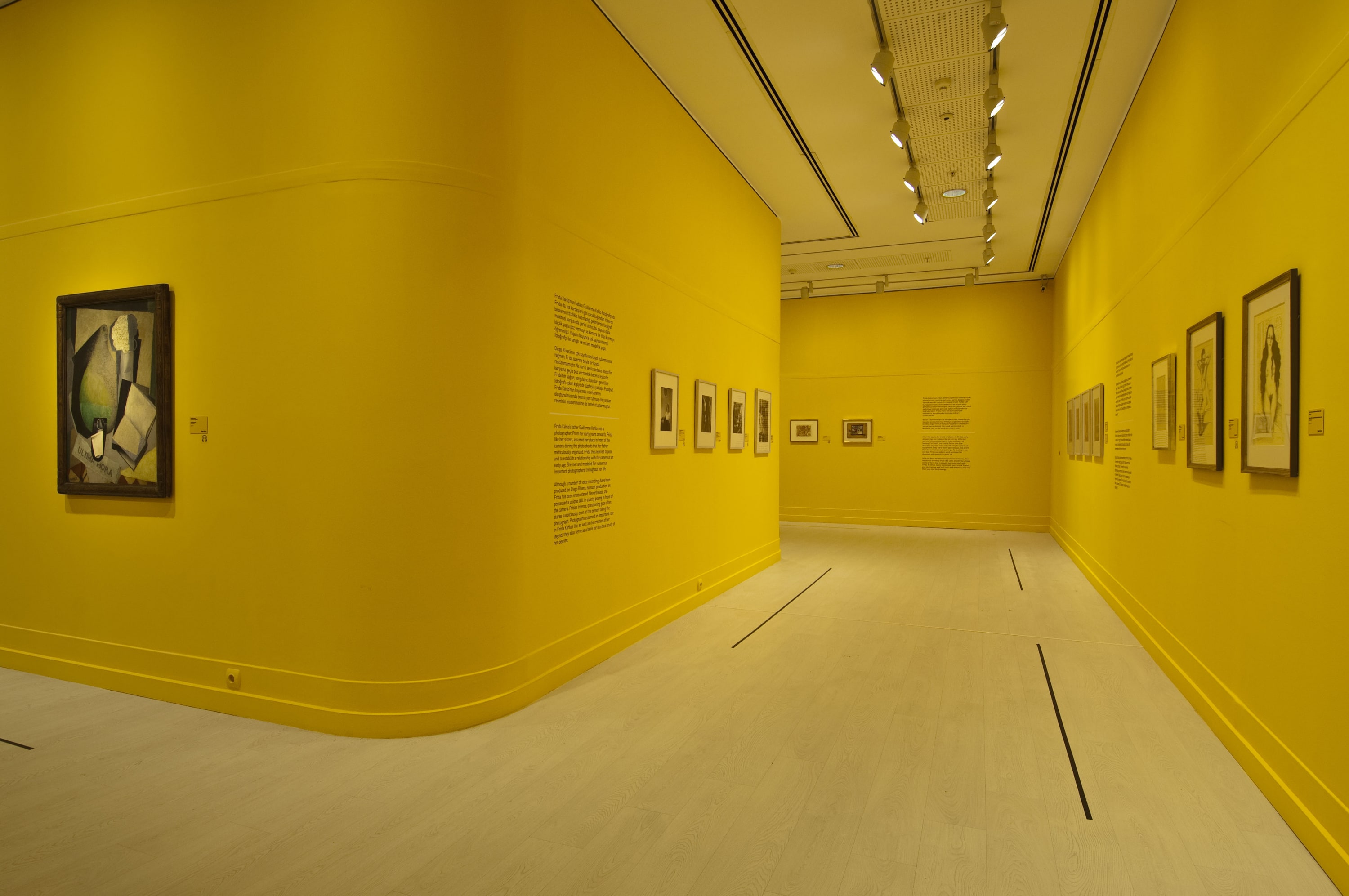 Frida Kahlo ve Diego Rivera galeri 10