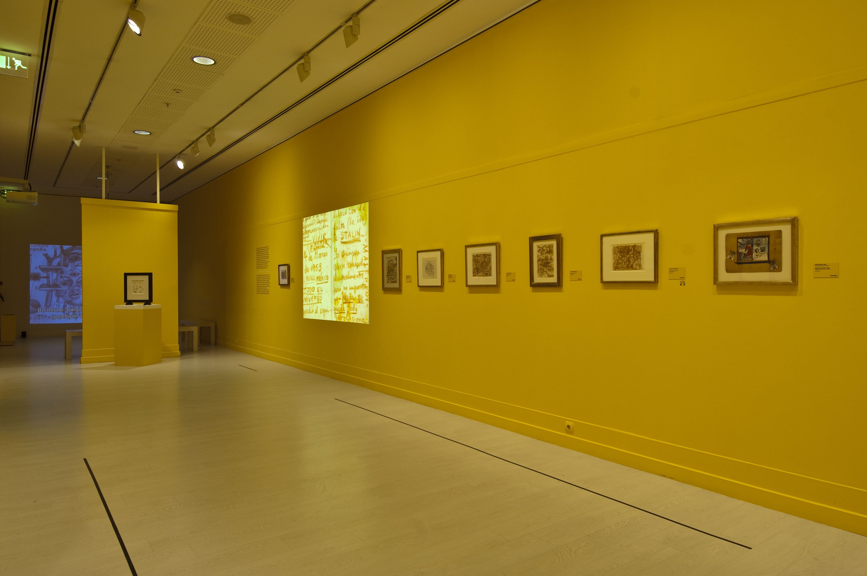 Frida Kahlo ve Diego Rivera galeri 11