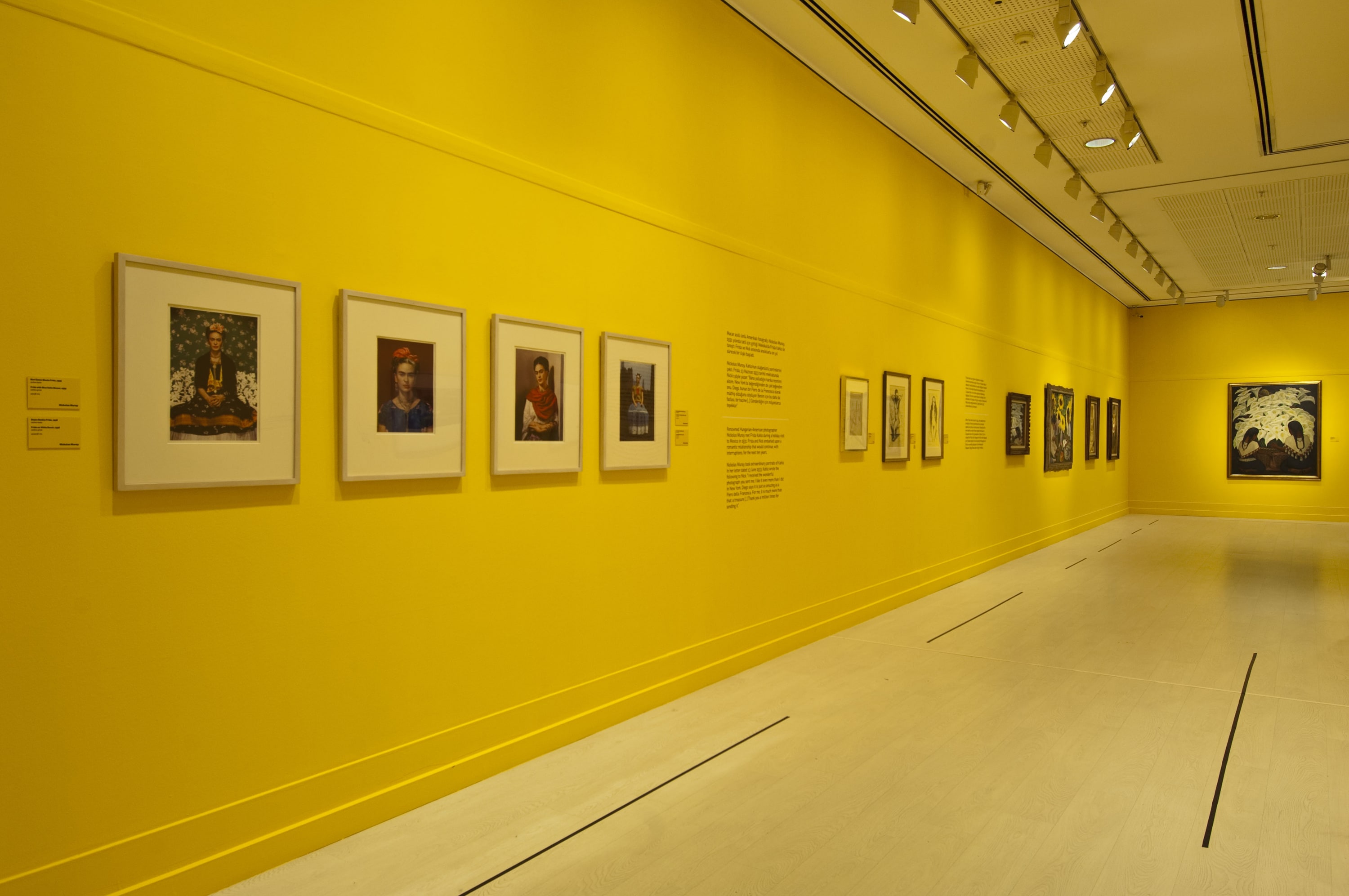 Frida Kahlo ve Diego Rivera galeri 12