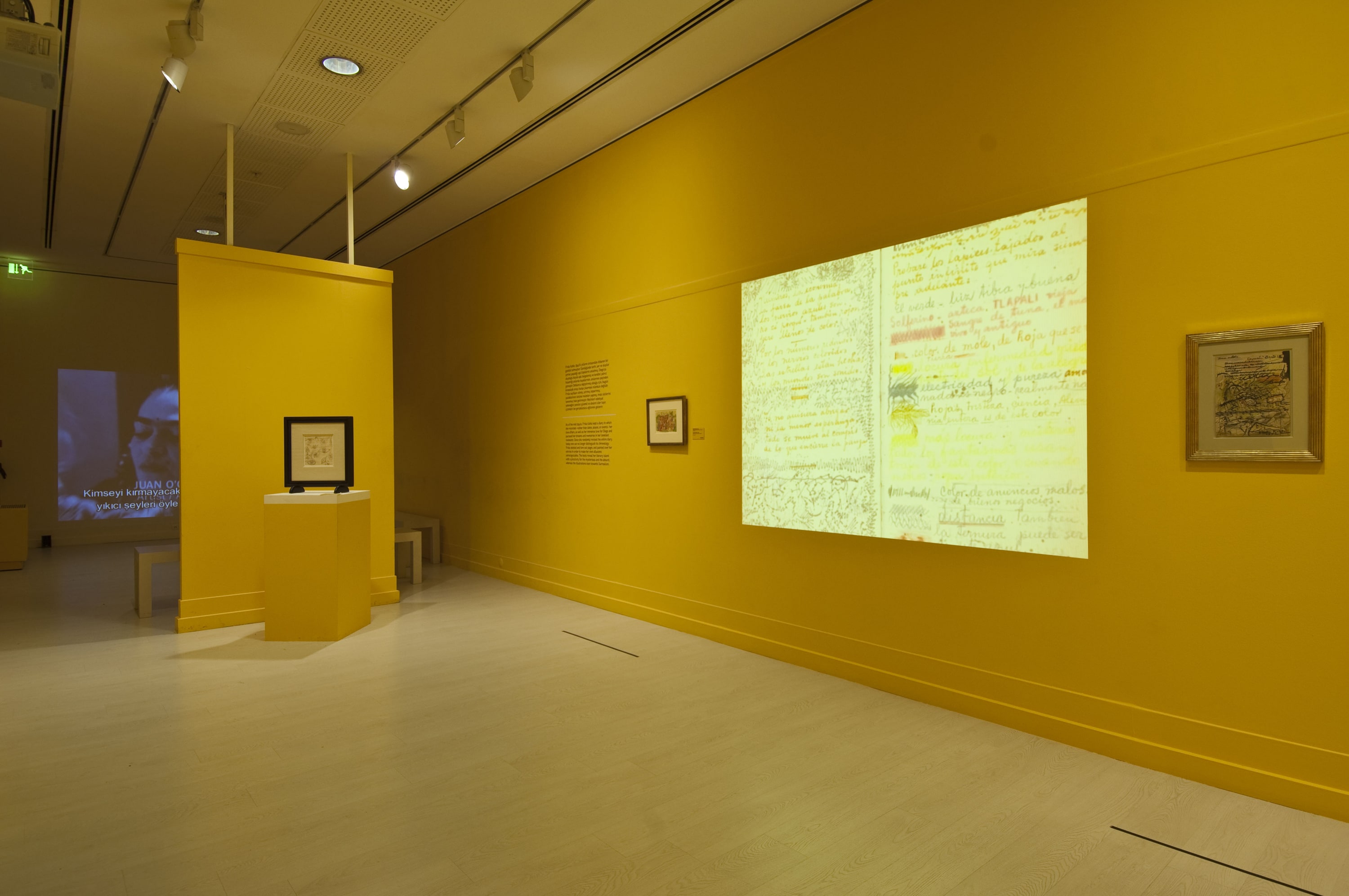 Frida Kahlo ve Diego Rivera galeri 13