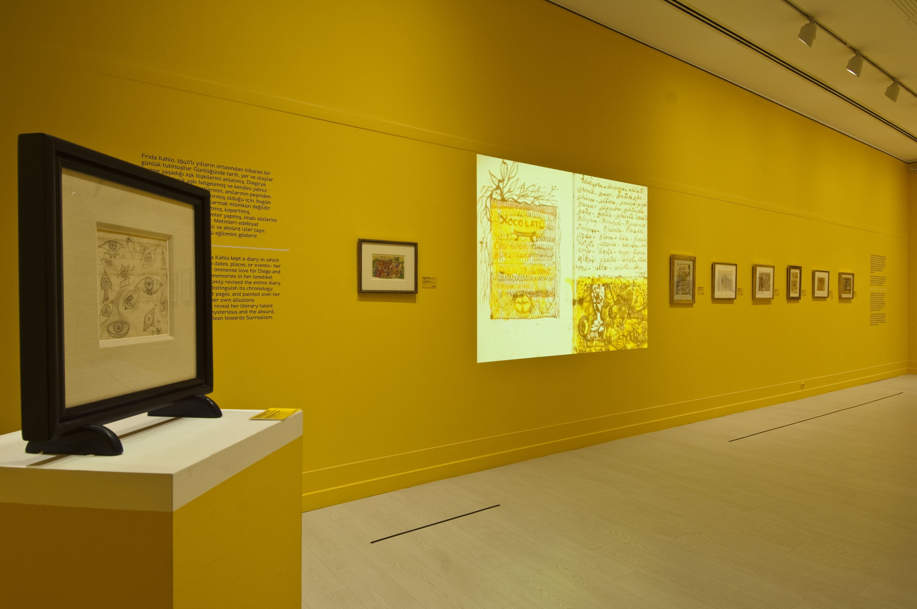 Frida Kahlo ve Diego Rivera galeri 14