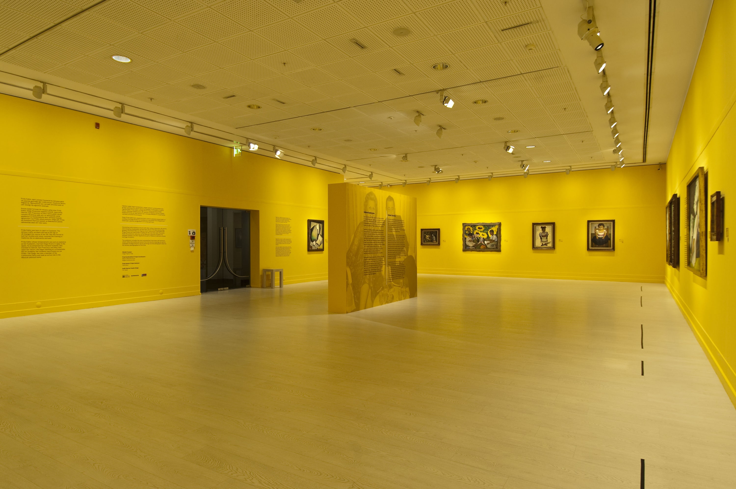 Frida Kahlo ve Diego Rivera galeri 4