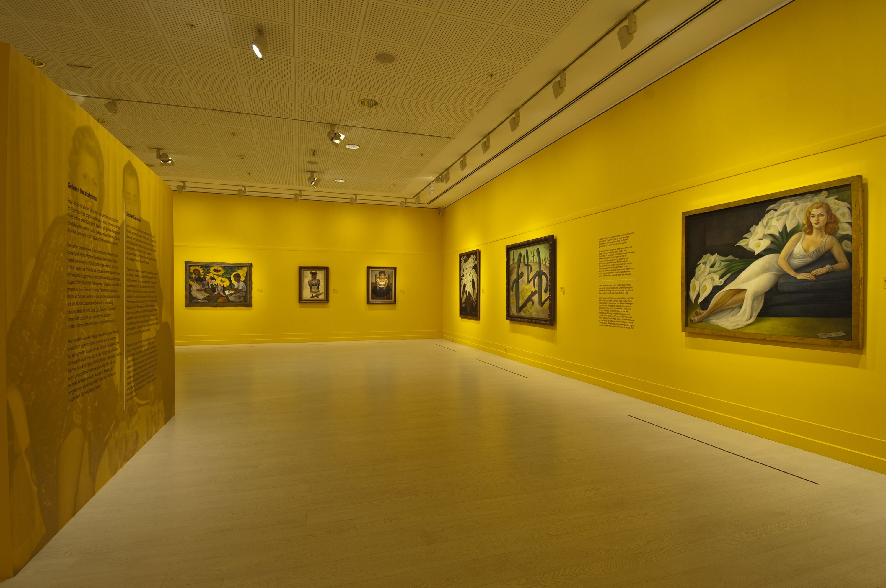 Frida Kahlo ve Diego Rivera galeri 7