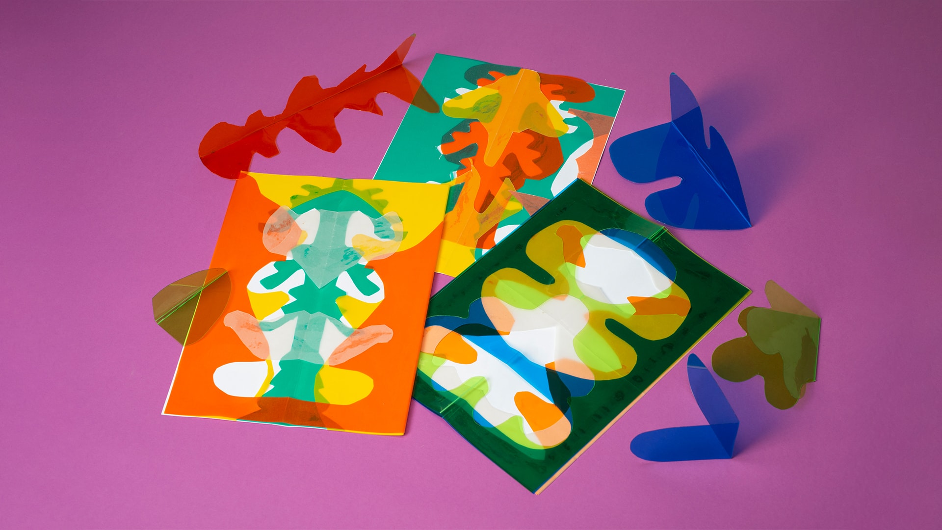 Rastlantının Düzeni görsel 3