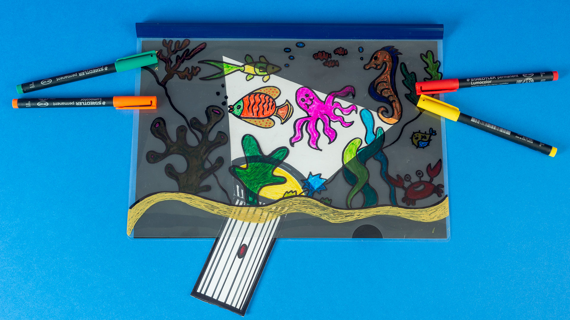 Gizemli Okyanusu Keşif  görsel 1