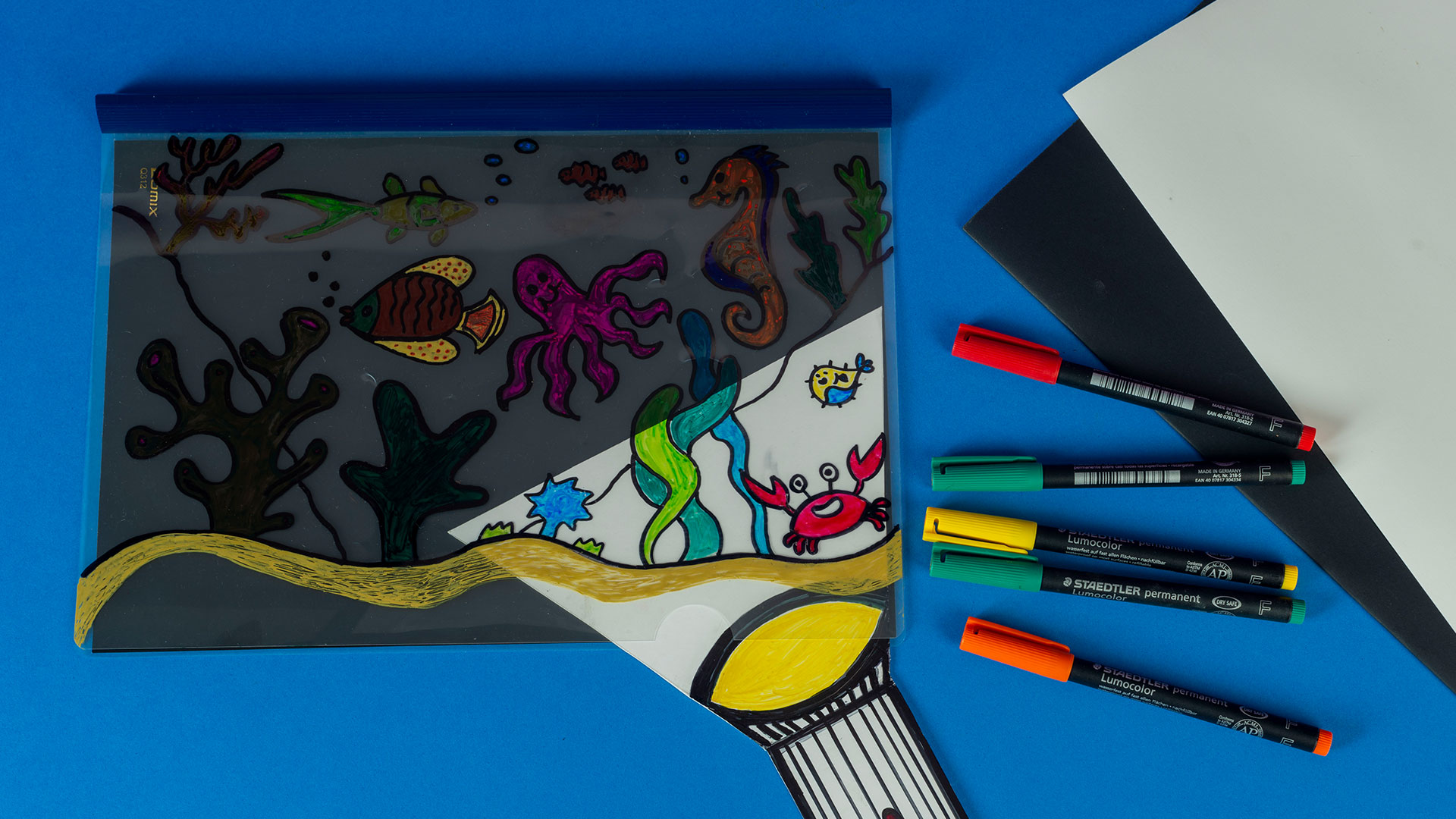 Gizemli Okyanusu Keşif  görsel 2