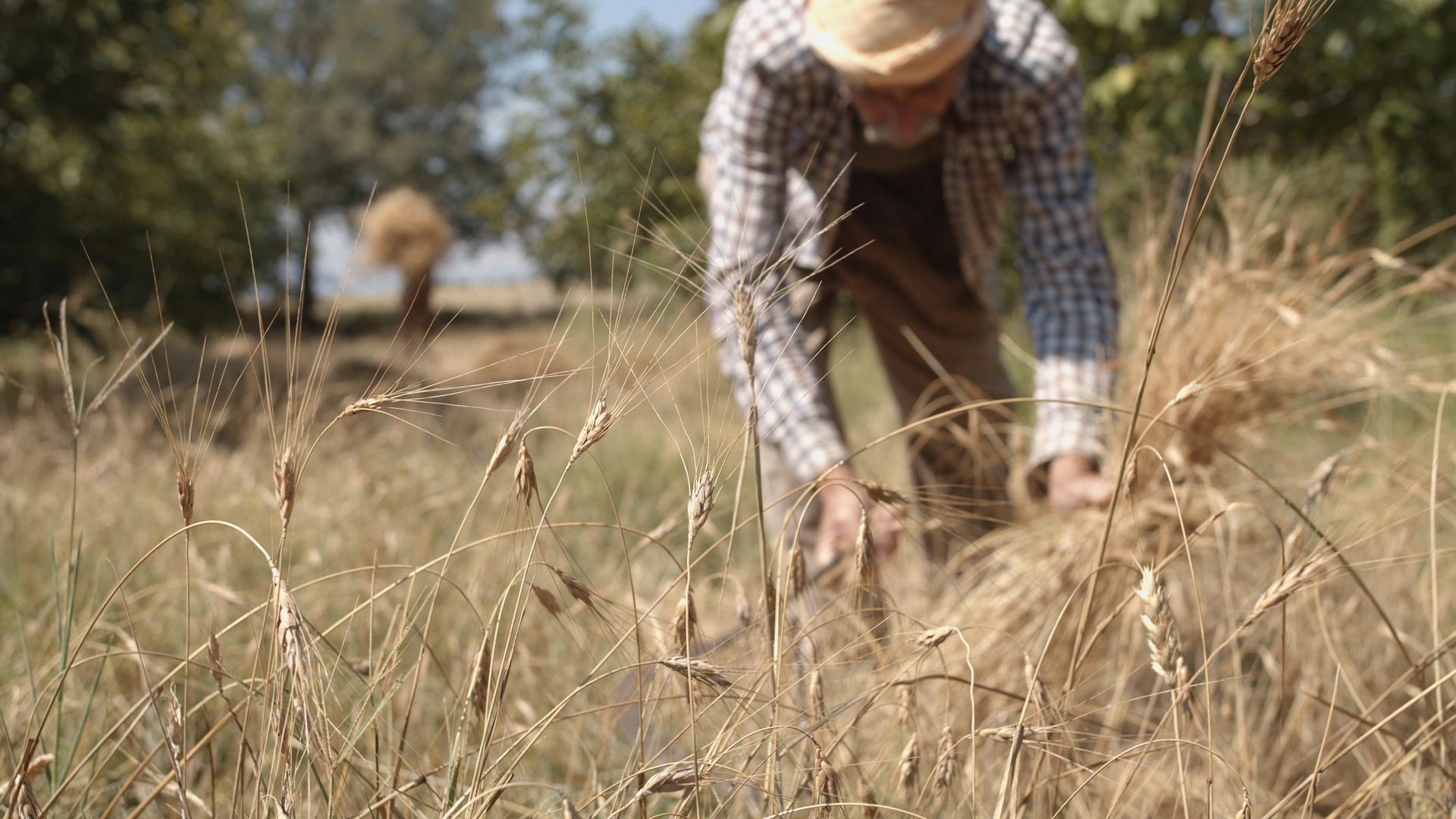 14. DOCUMENTARIST İstanbul Belgesel Günleri2