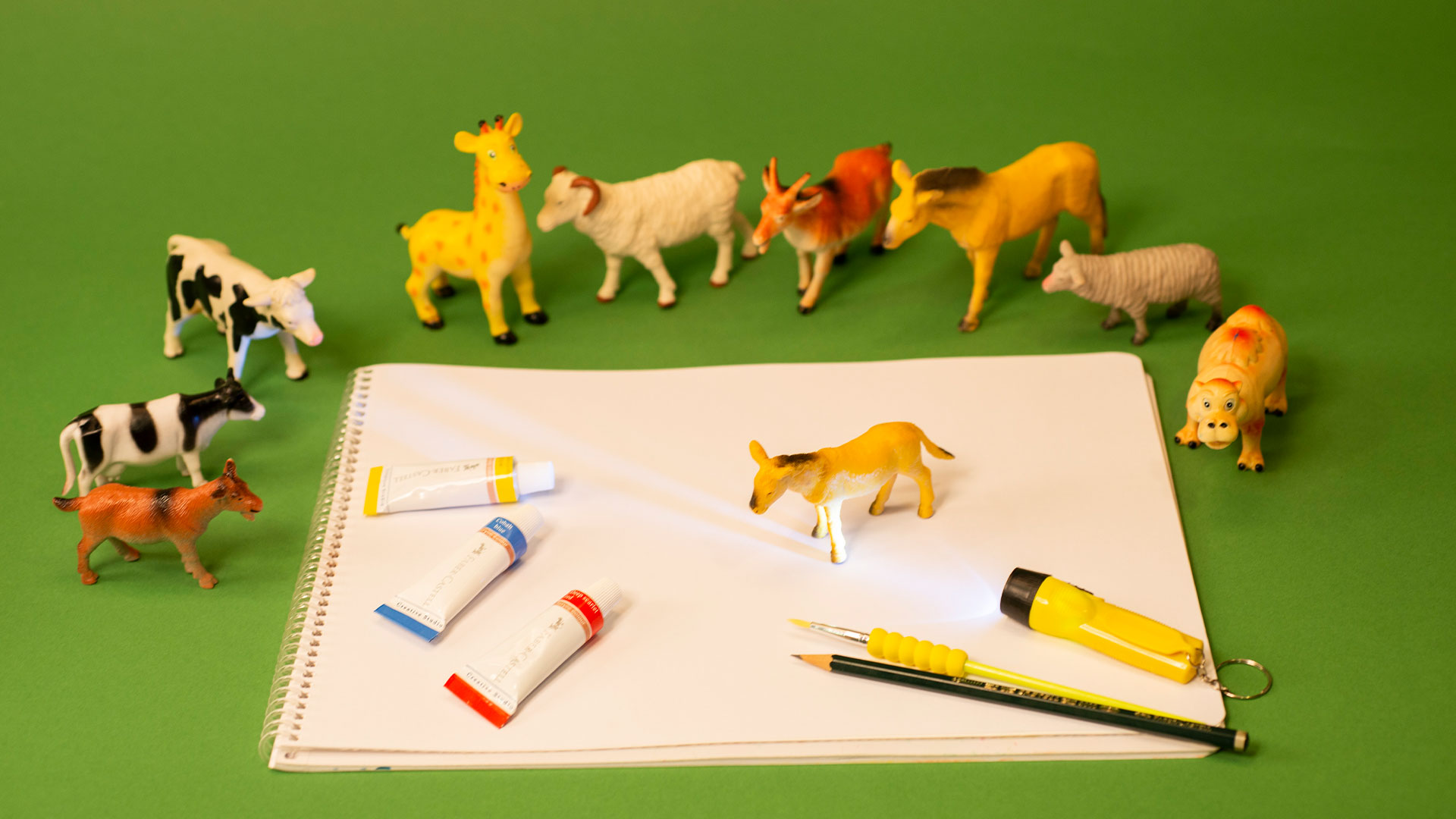 Gölgeden Hayvan Figürleri görsel 0