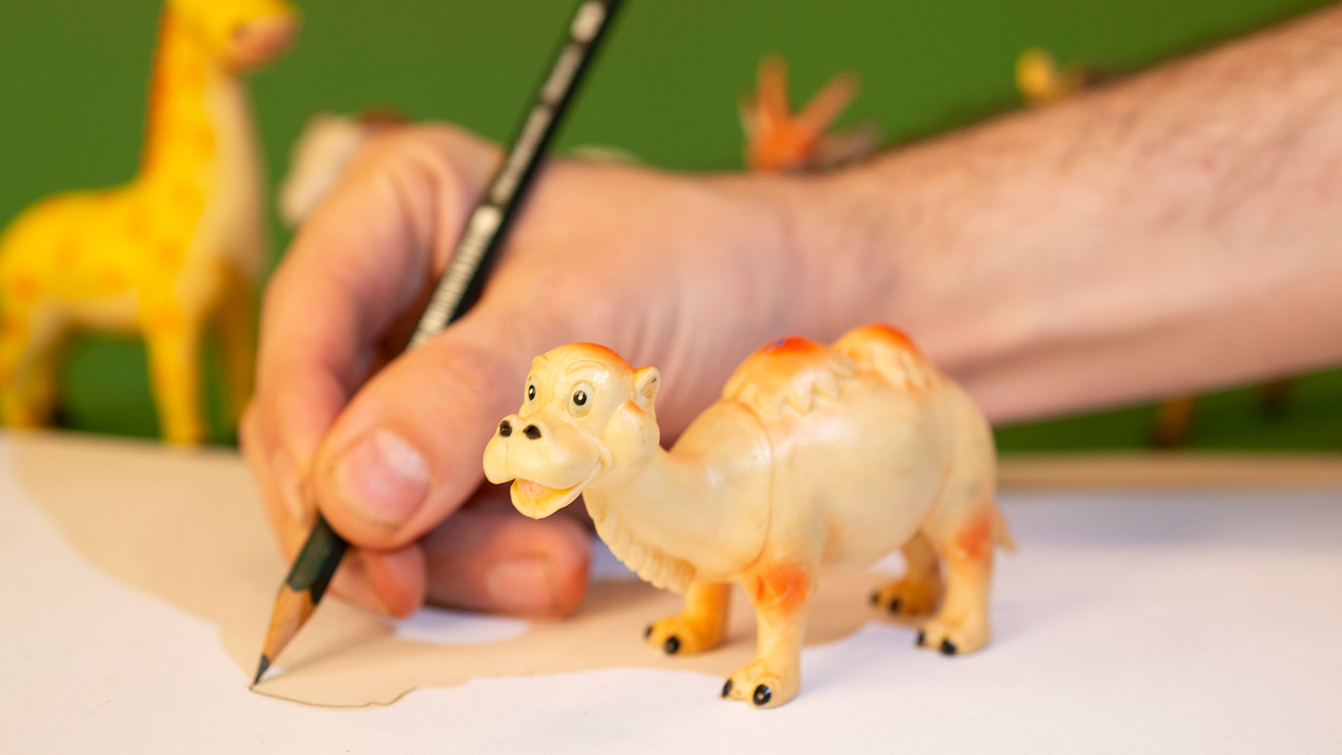 Gölgeden Hayvan Figürleri görsel 1