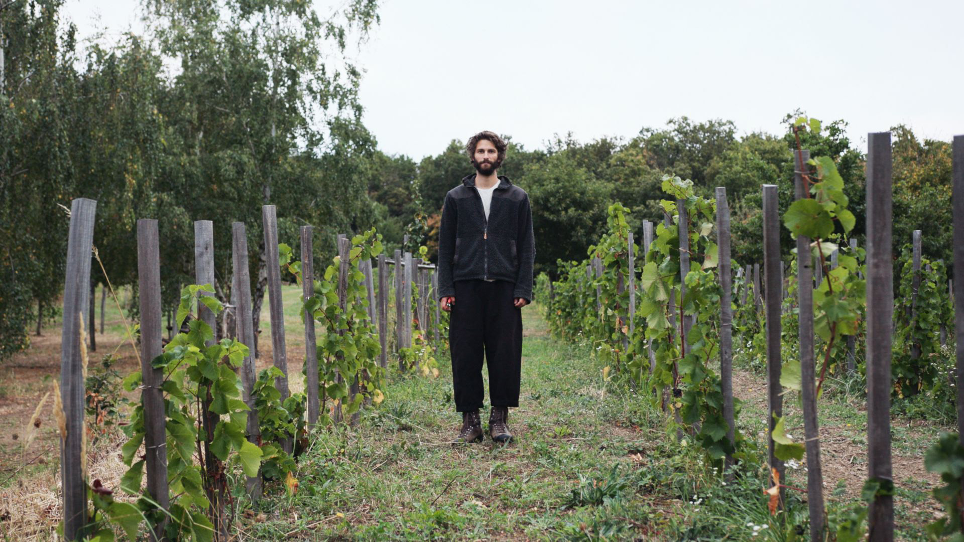 Hayaller, Çabalar ve Pandemi görsel 0