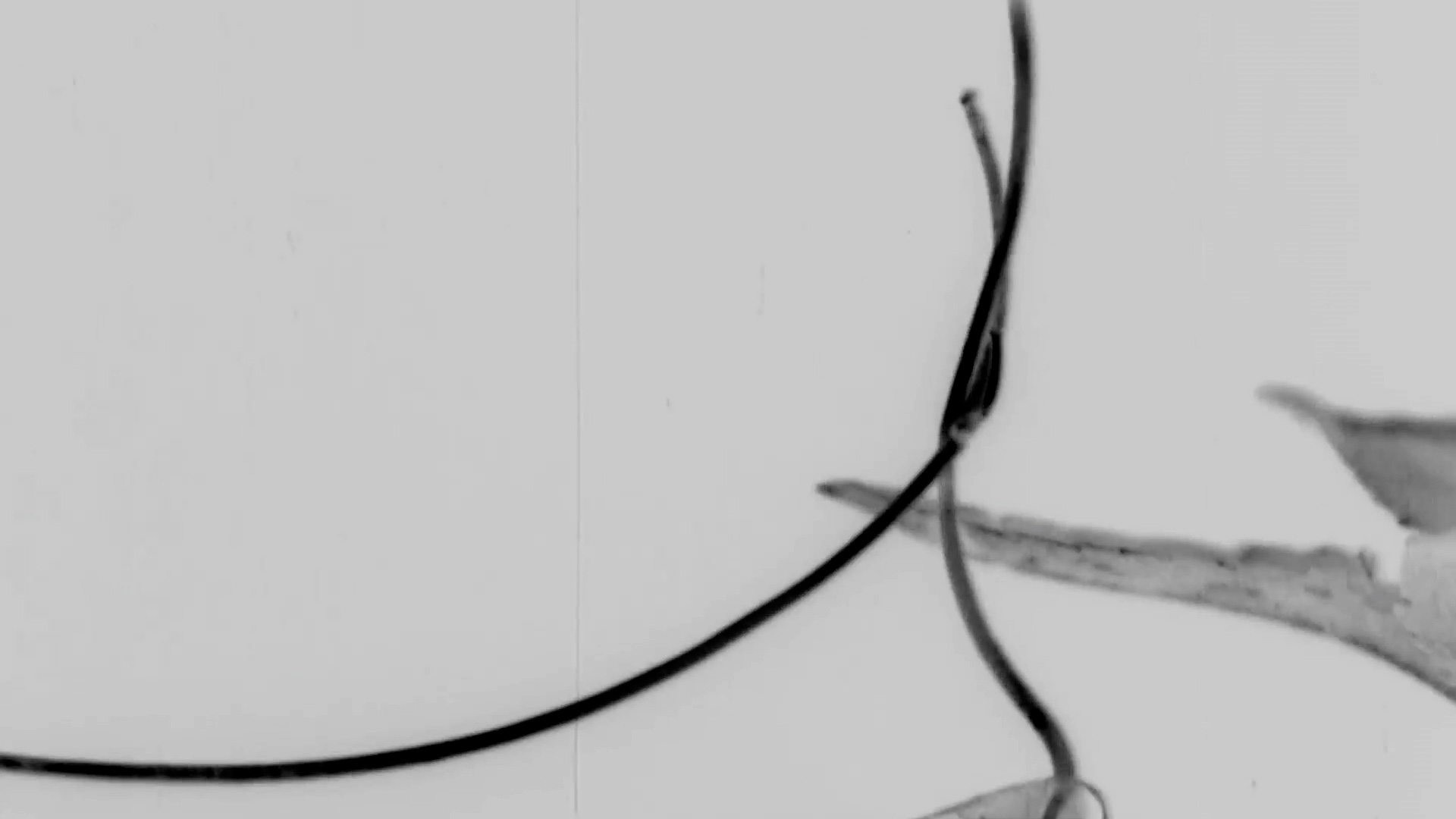 Bir Nokta ve Diğeri Arasında Sonsuz Bir Mesafe Görüyorum  görsel 4