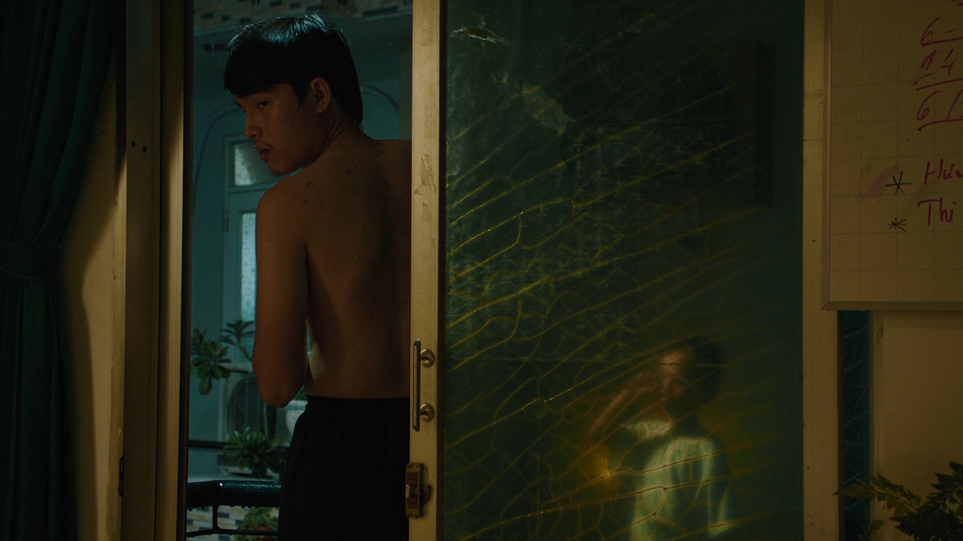 Altın Kozanın İçinde görsel 2