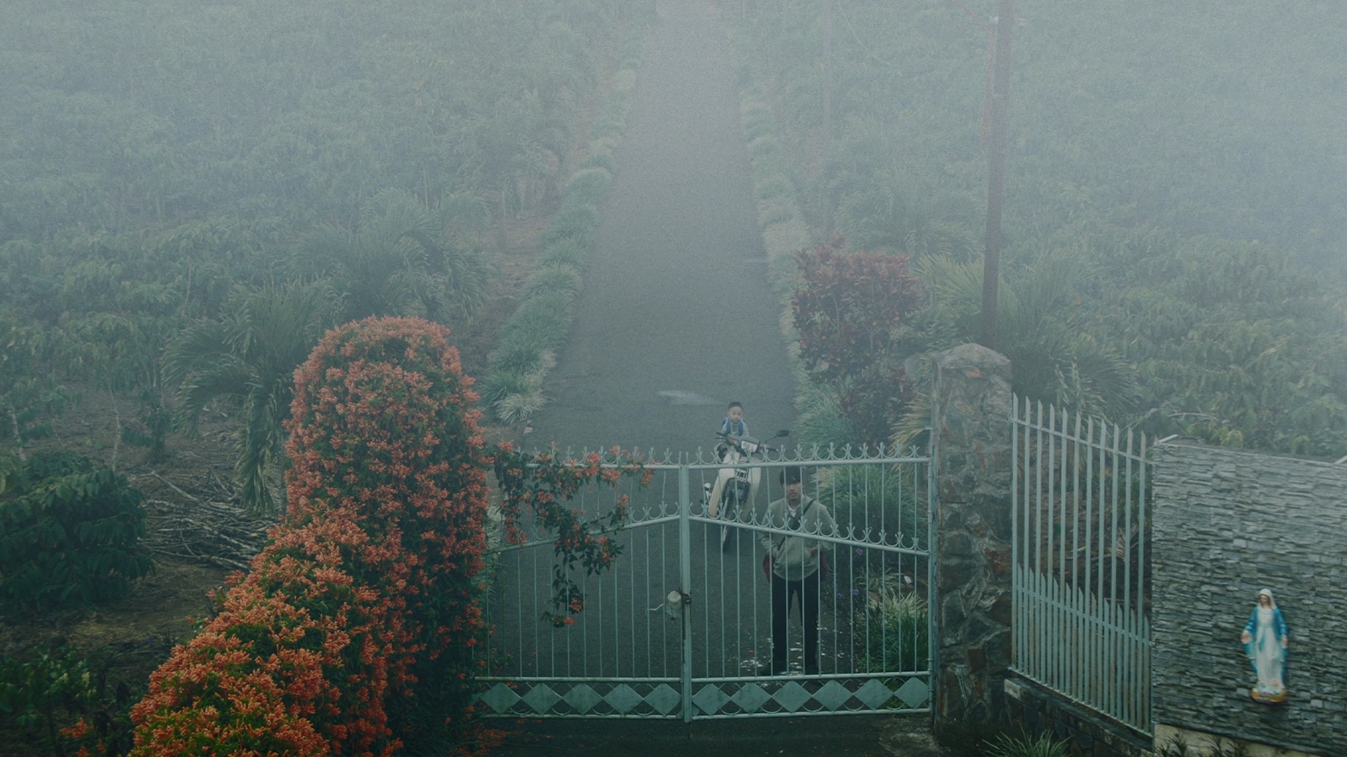 Altın Kozanın İçinde görsel 3