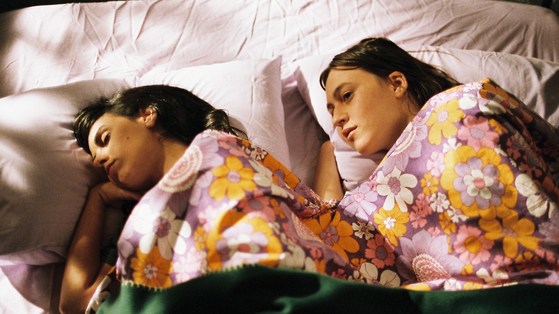 Denizanası görsel 0