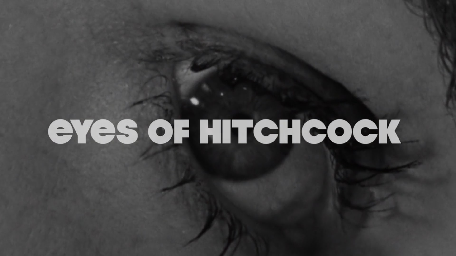 Kogonada: Video Denemeleri8