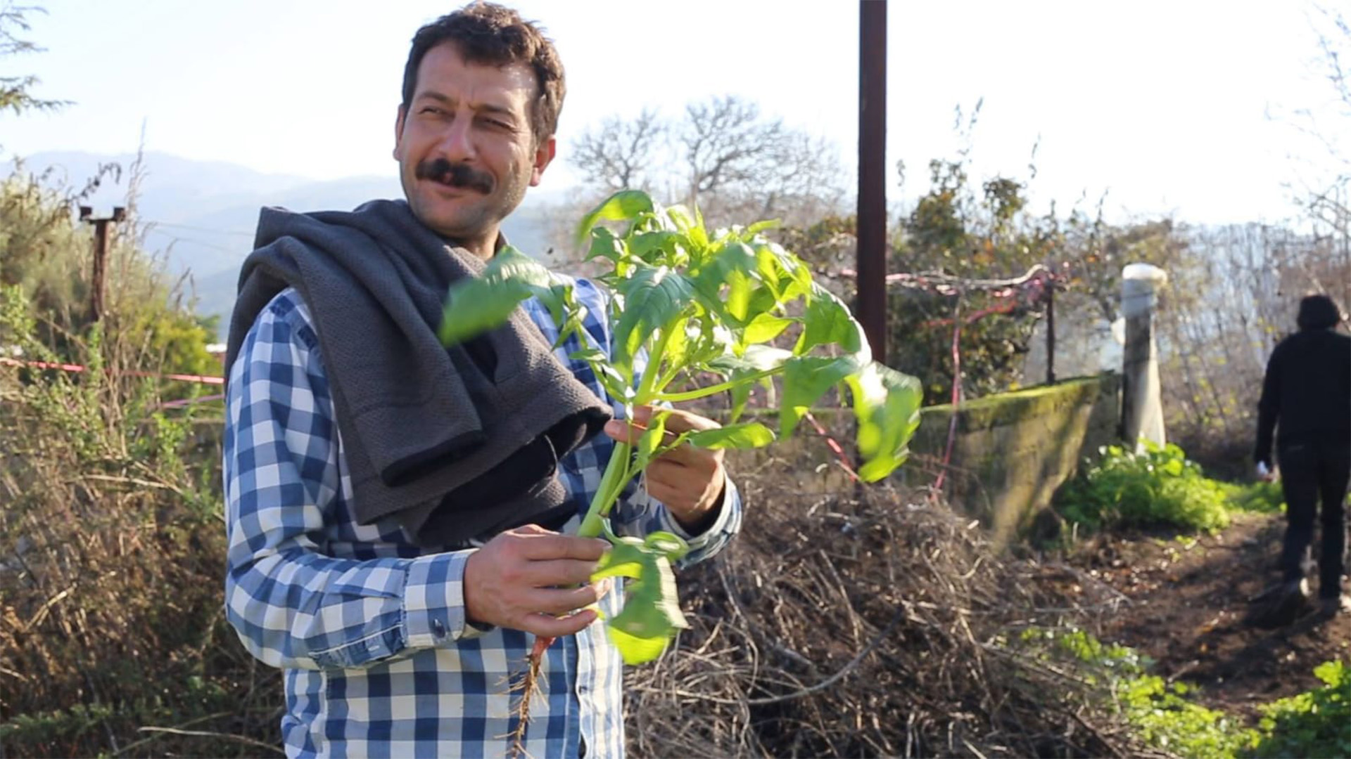 Kökler Arasında görsel 0