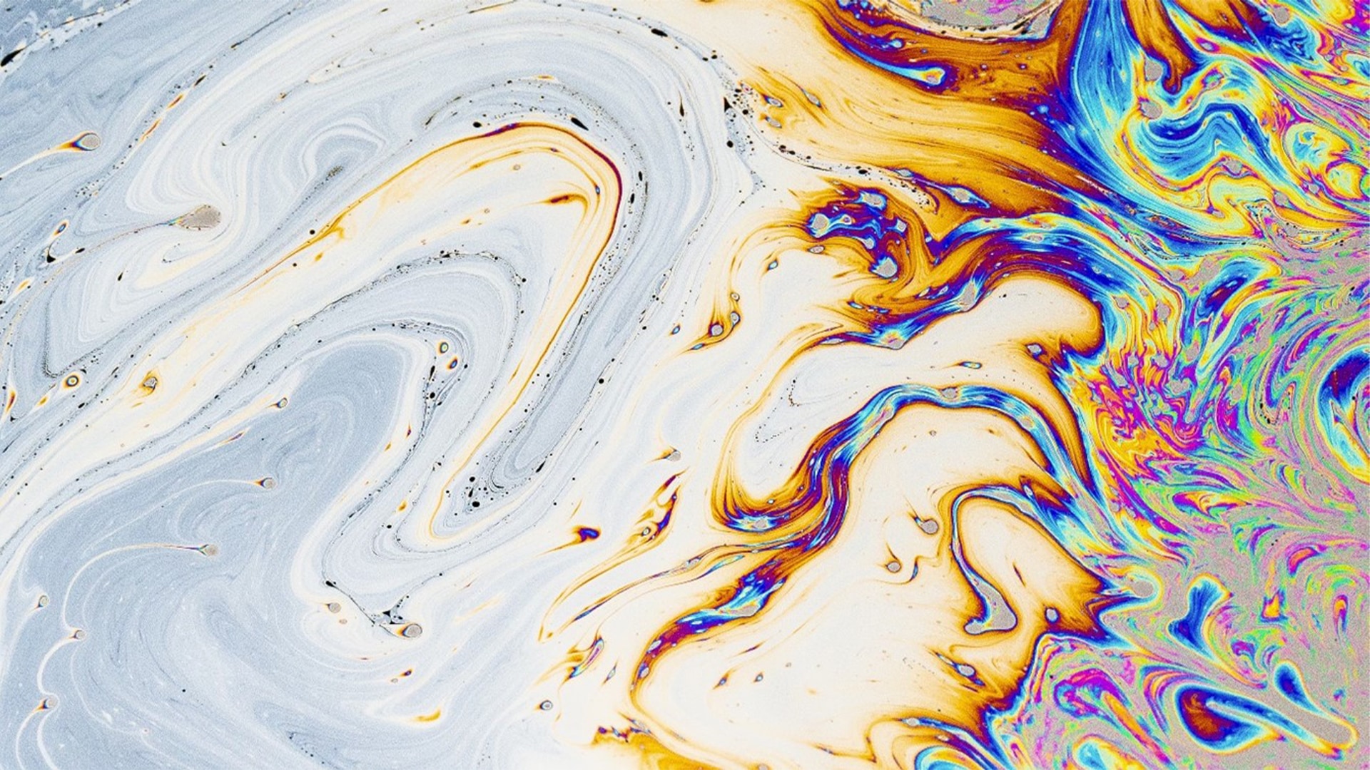 Şans Eserleri görsel 2