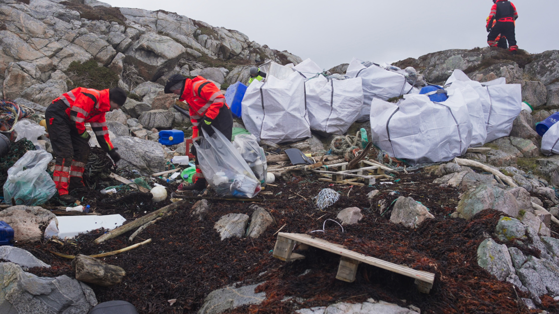 Kuzey Akıntısı görsel 1