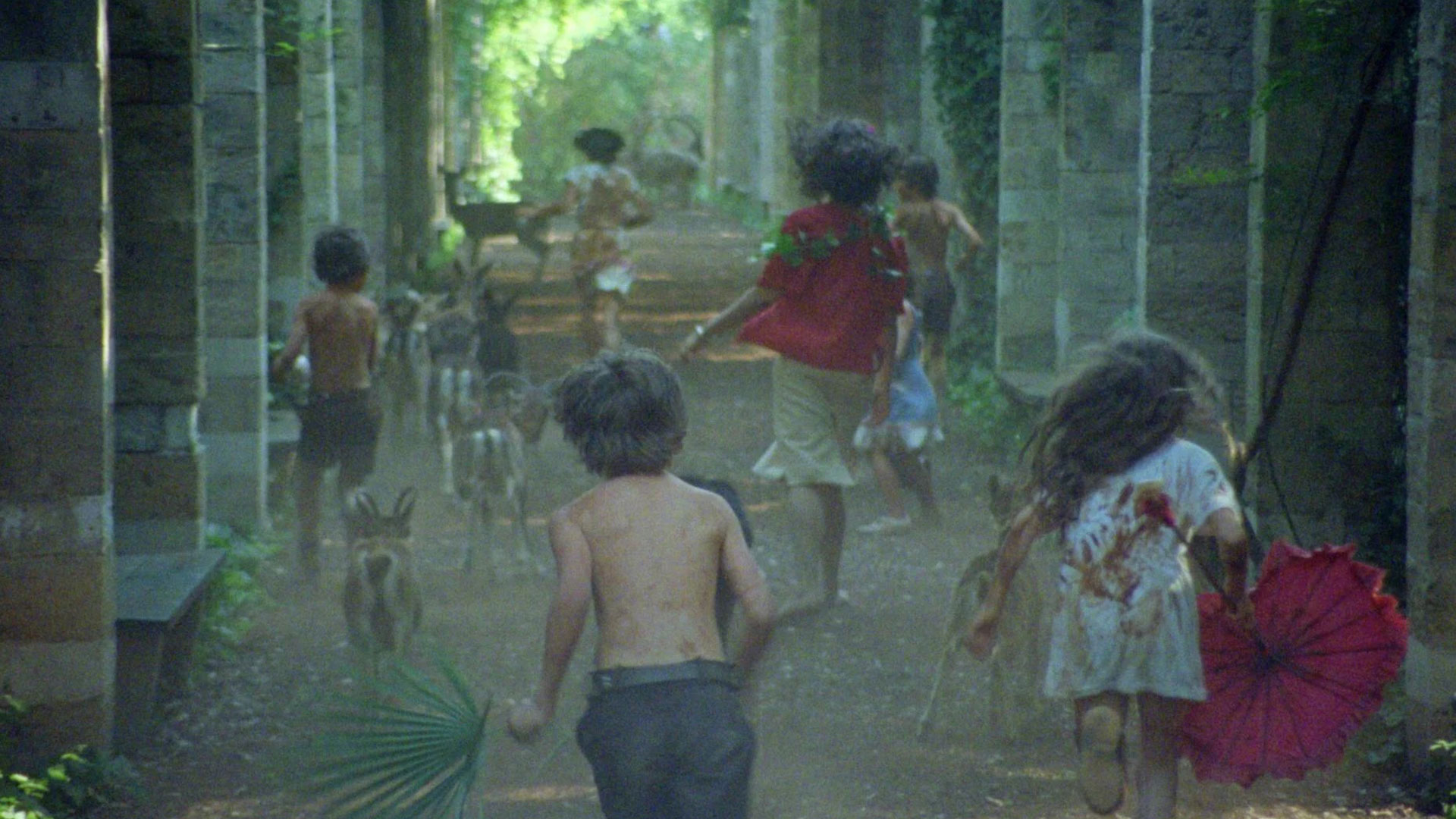 Çılgınlık görsel 1