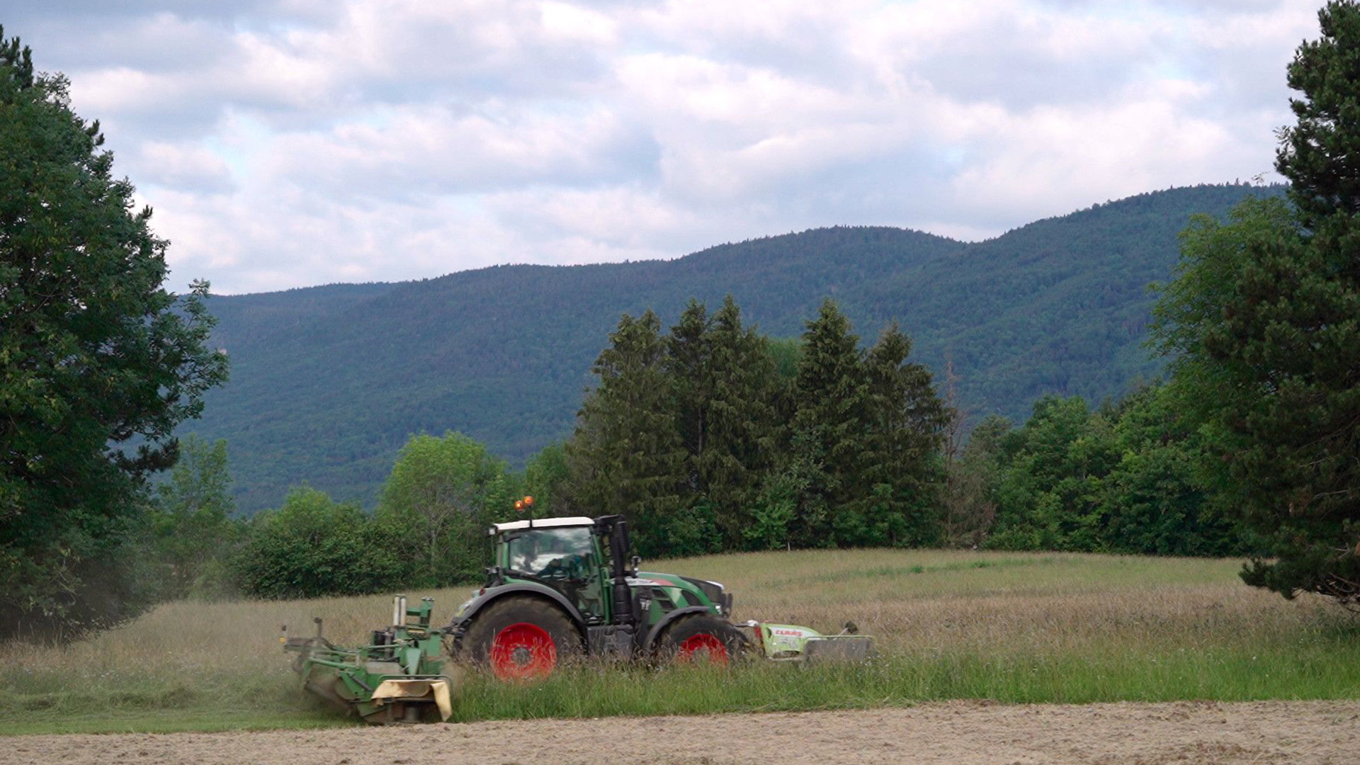 Onarıcı Sınırlar görsel 0