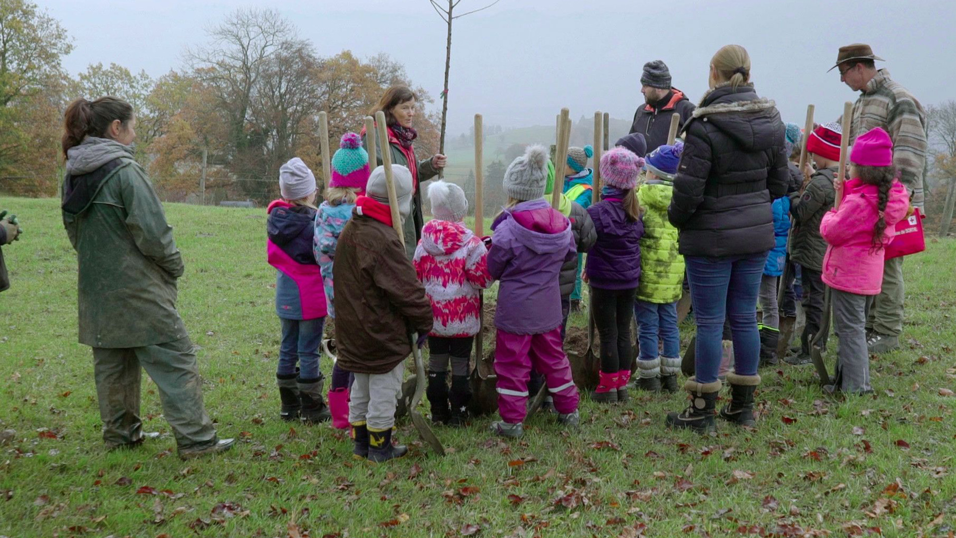Onarıcı Sınırlar görsel 1